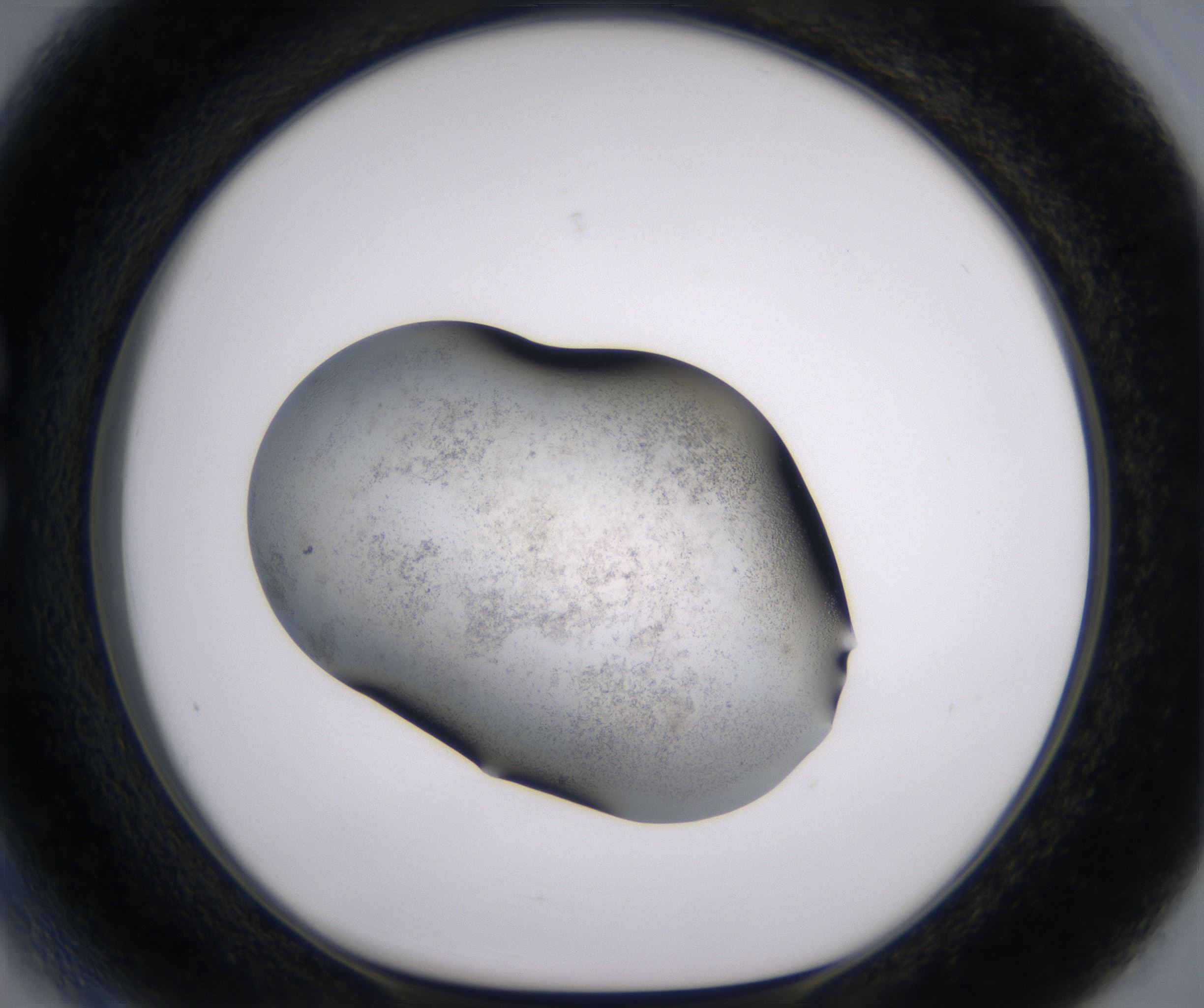 C3_HighResolution_Precipitate_1.jpg