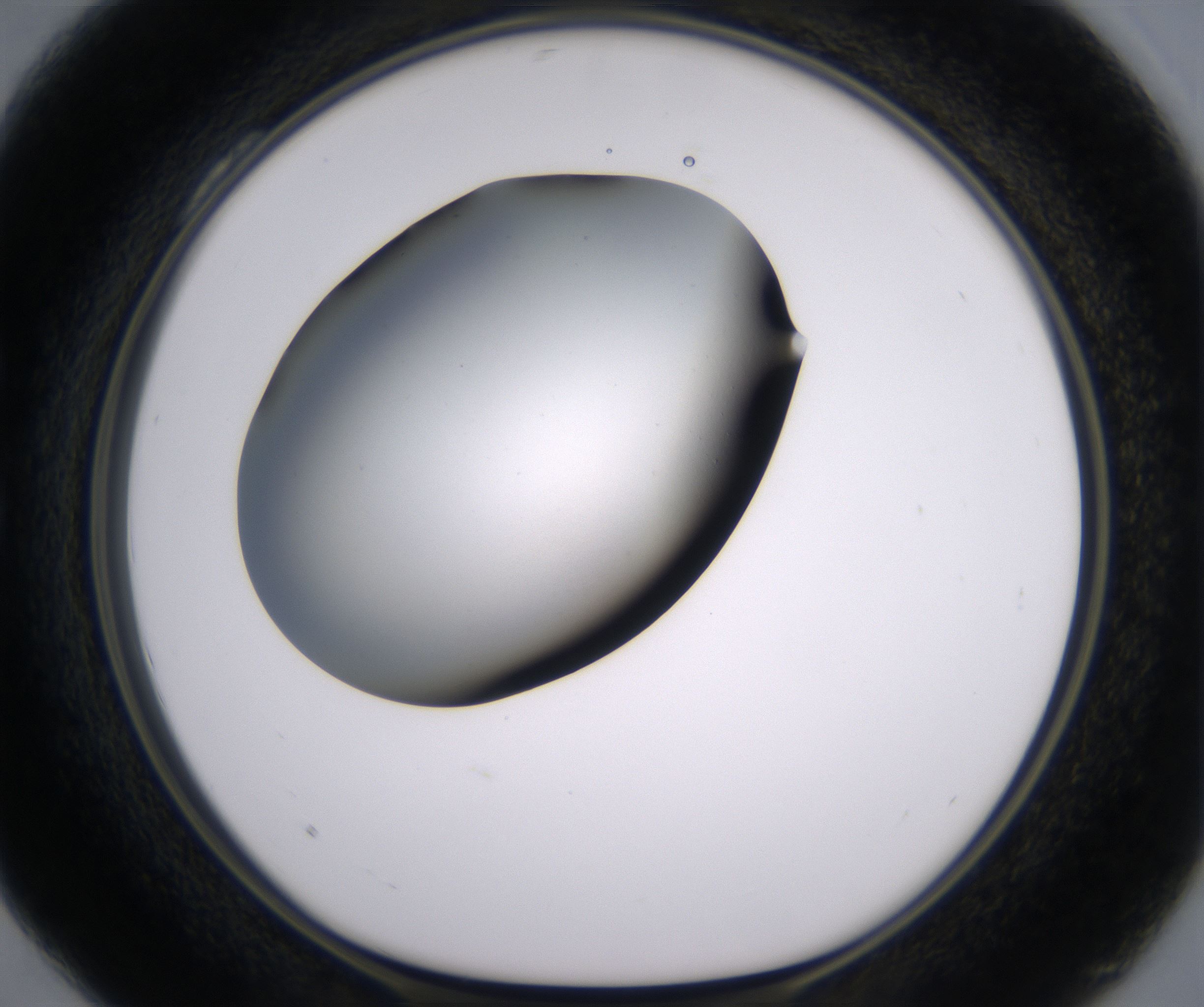 C4_HighResolution_Clear_1.jpg