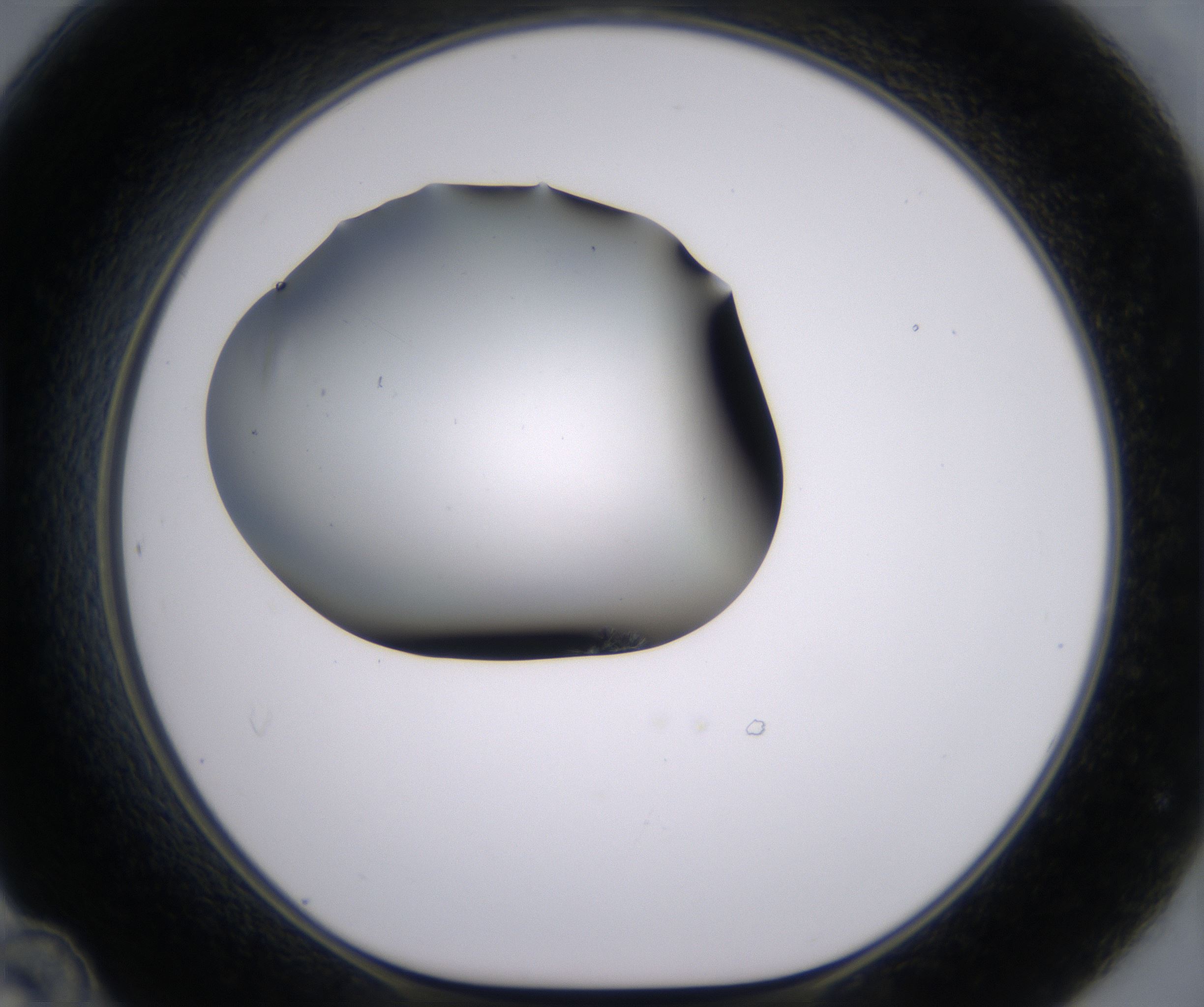 D12_HighResolution_Clear_1.jpg