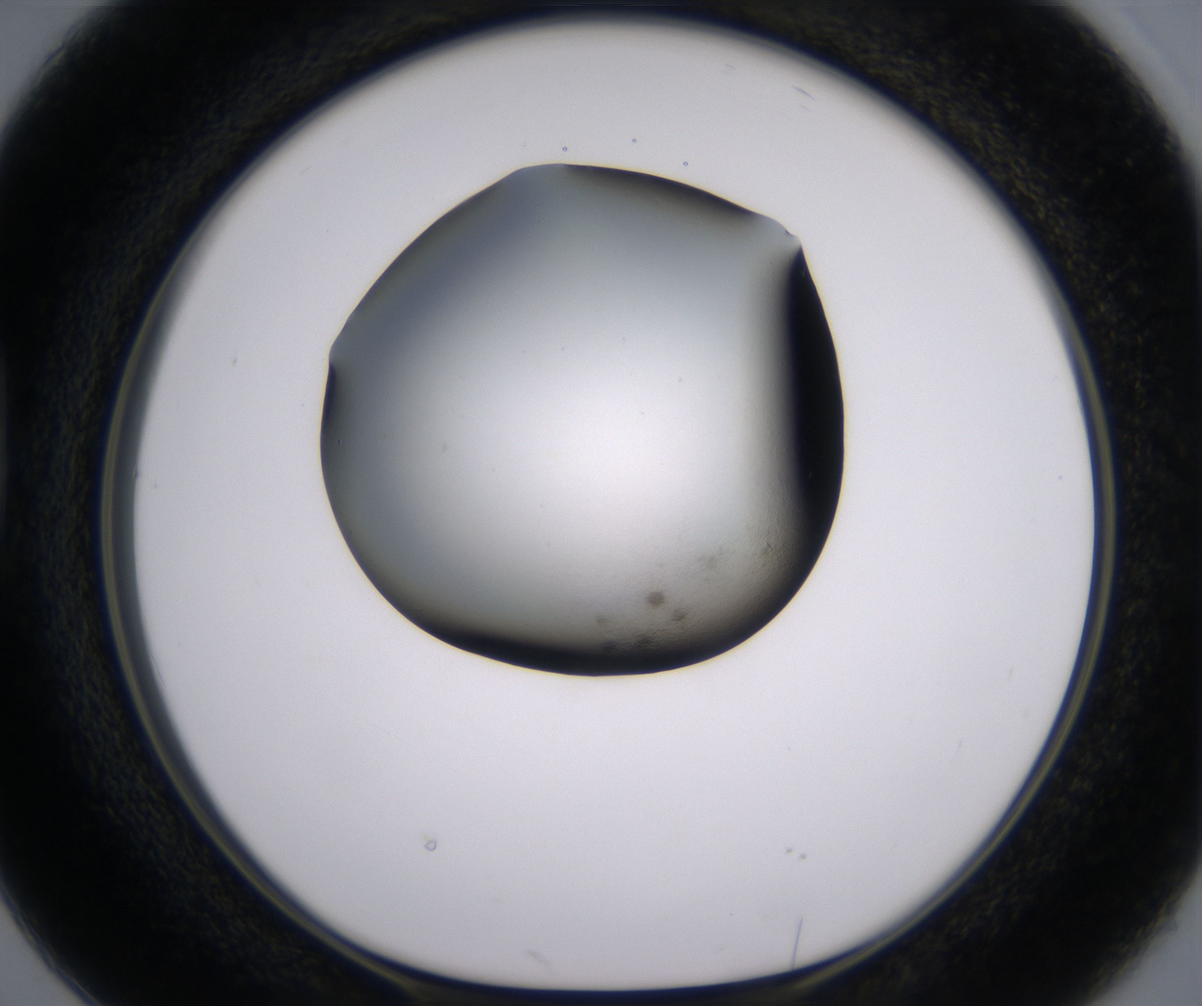 D2_HighResolution_Clear_1.jpg