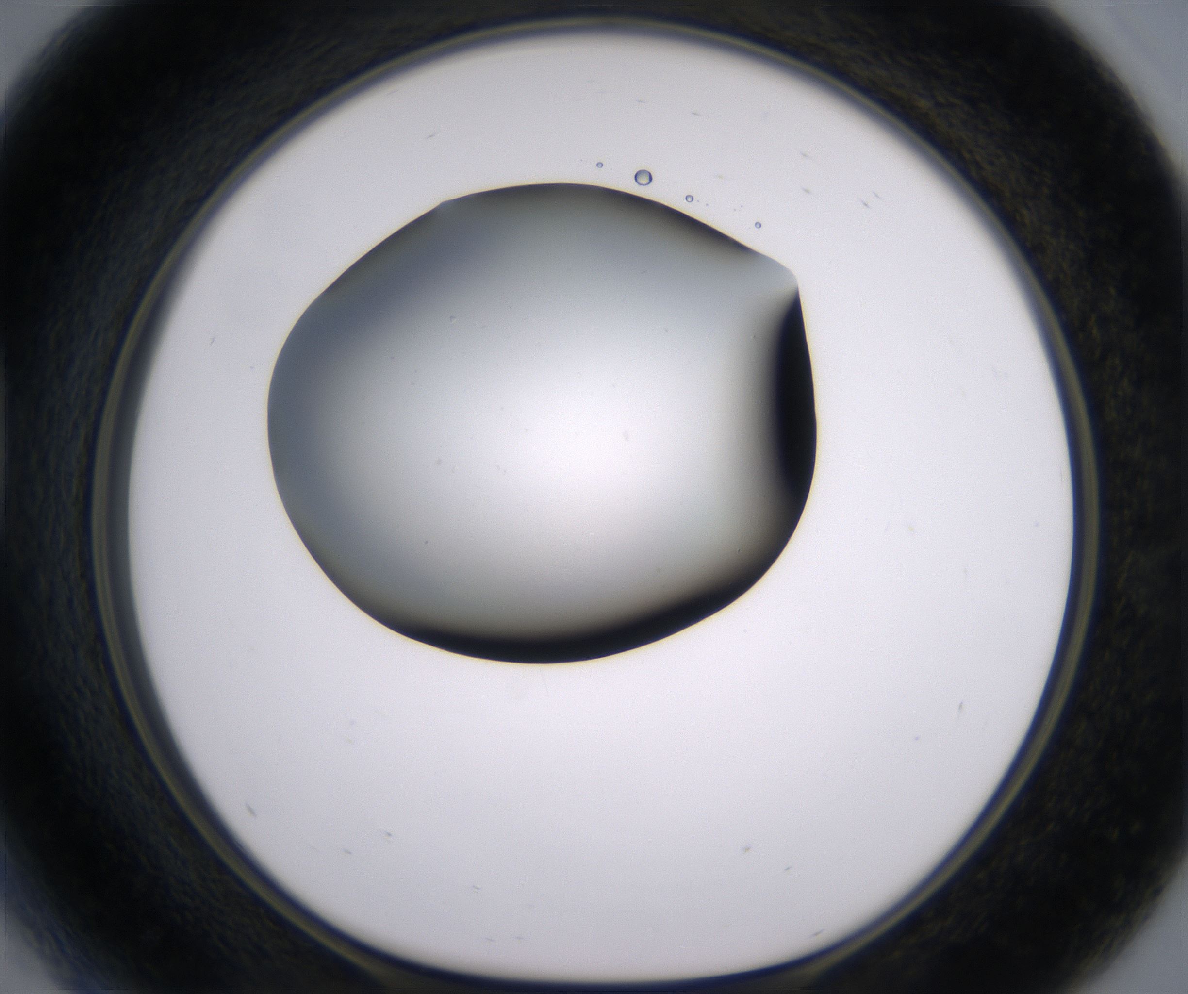 D5_HighResolution_Clear_1.jpg