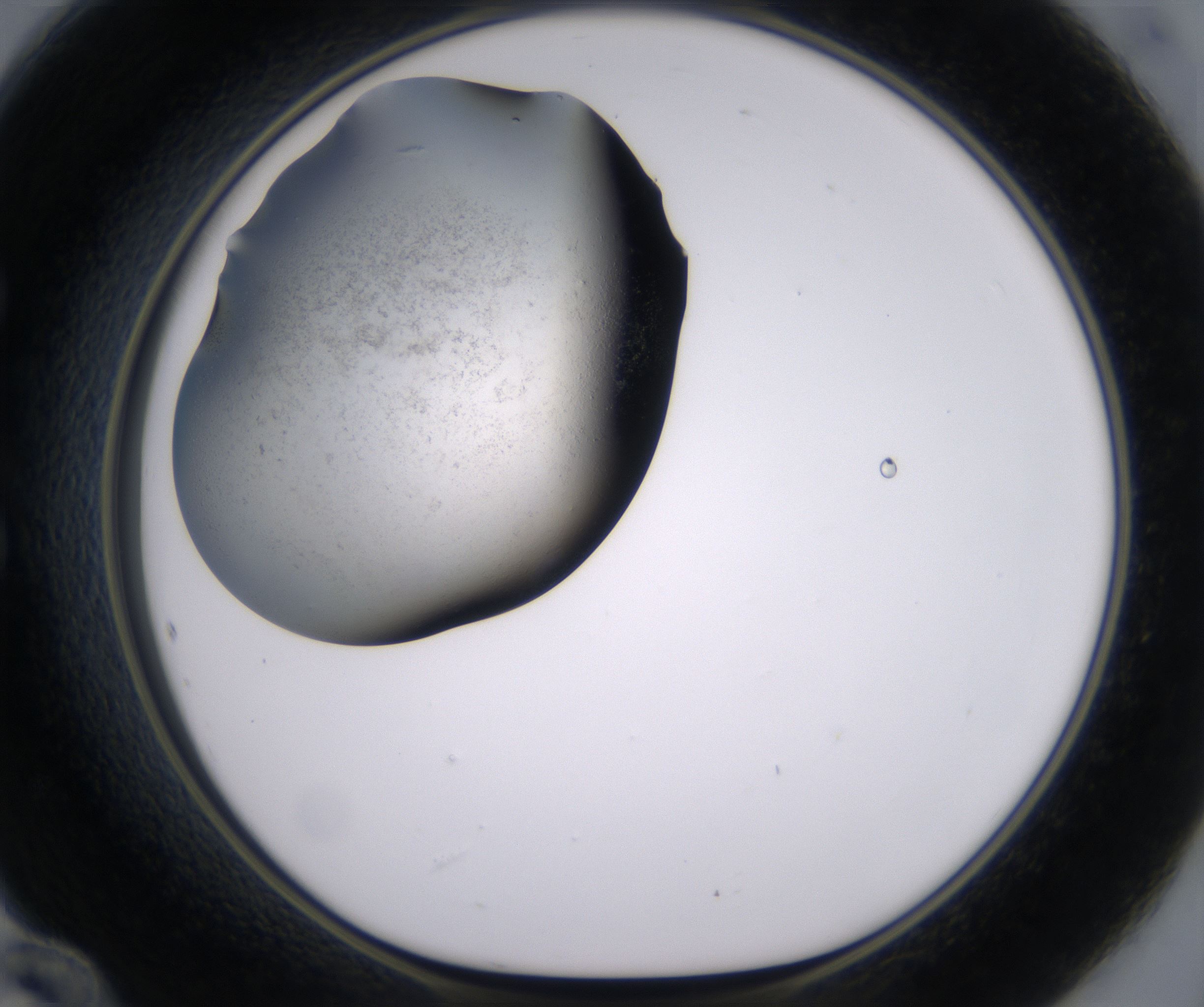 E12_HighResolution_Precipitate_1.jpg