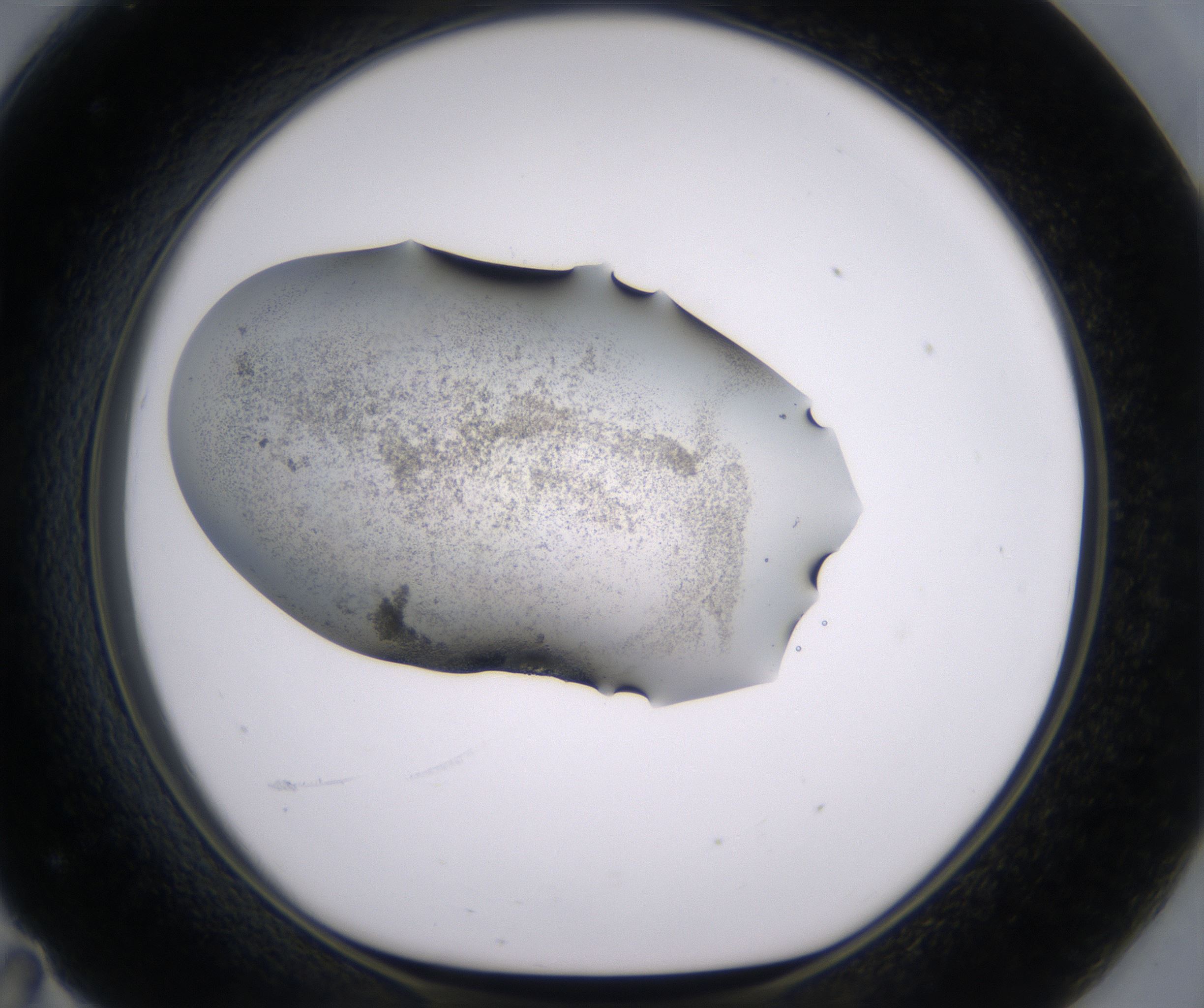 F11_HighResolution_Precipitate_1.jpg
