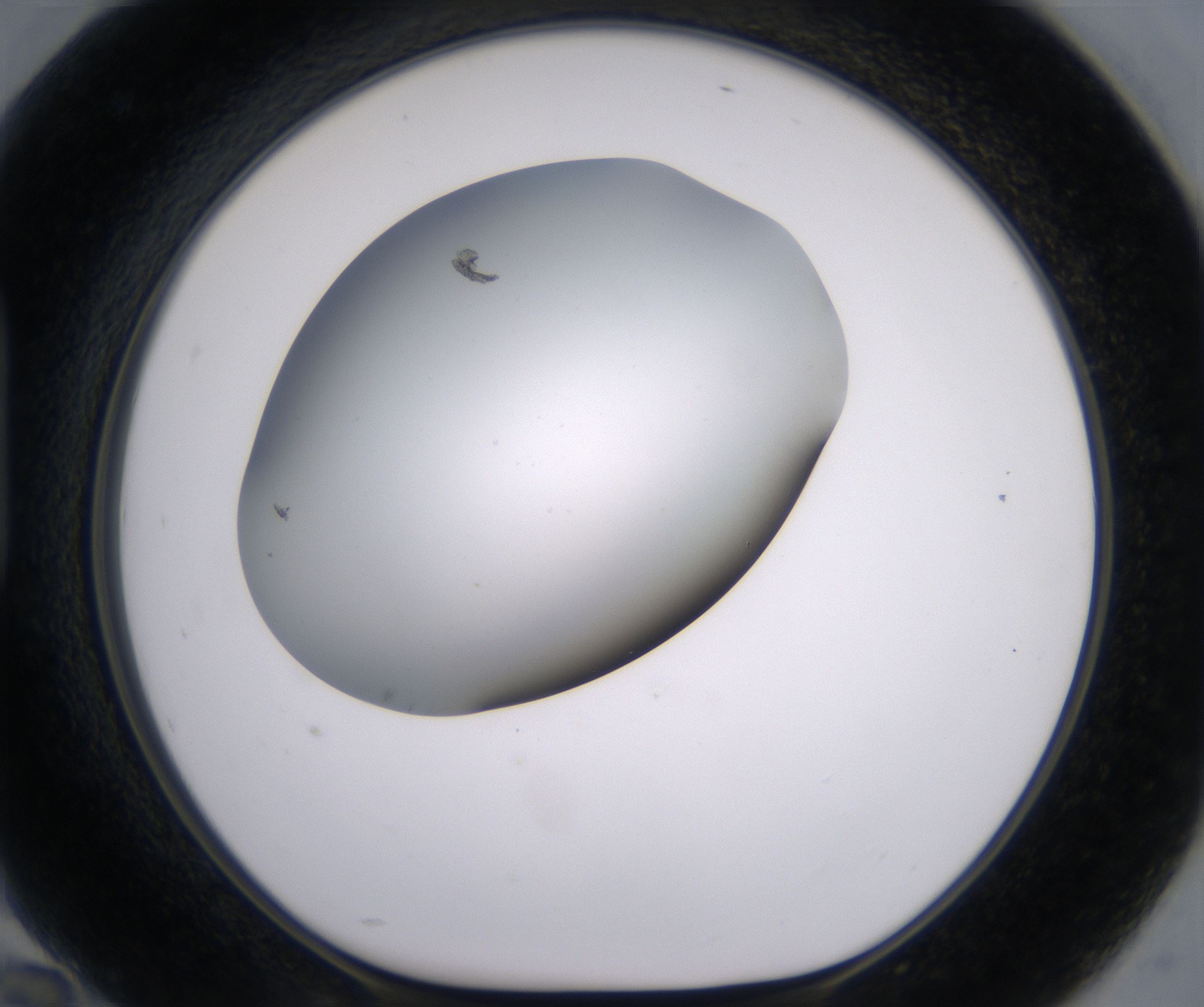 H10_HighResolution_Clear_1.jpg
