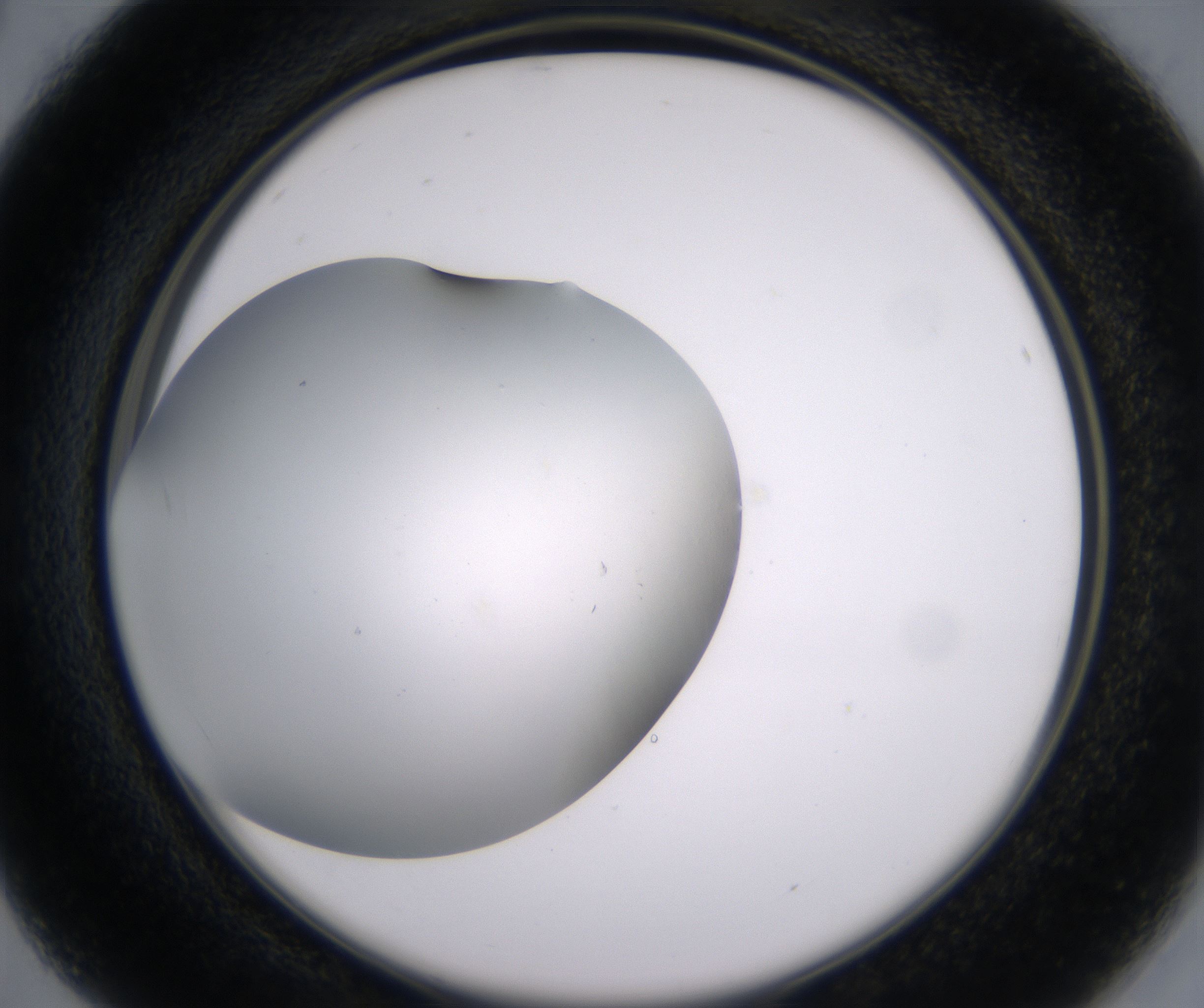 B4_HighResolution_Clear_2.jpg