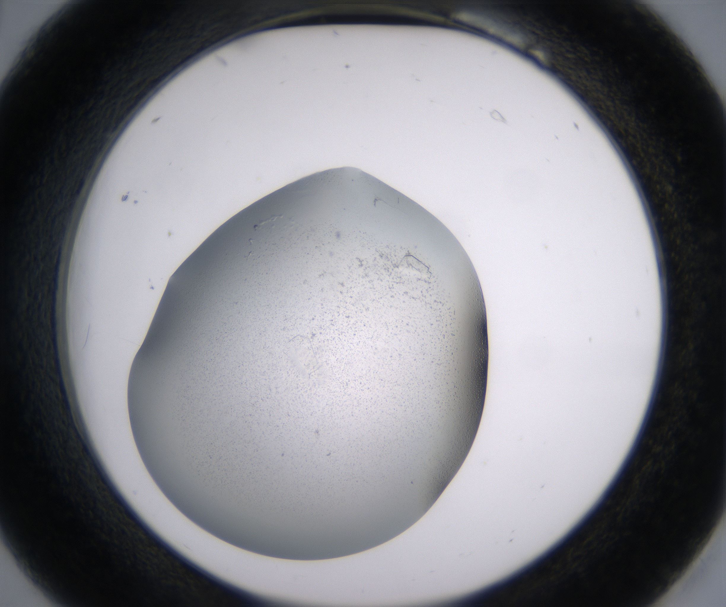 B6_HighResolution_Precipitate_2.jpg