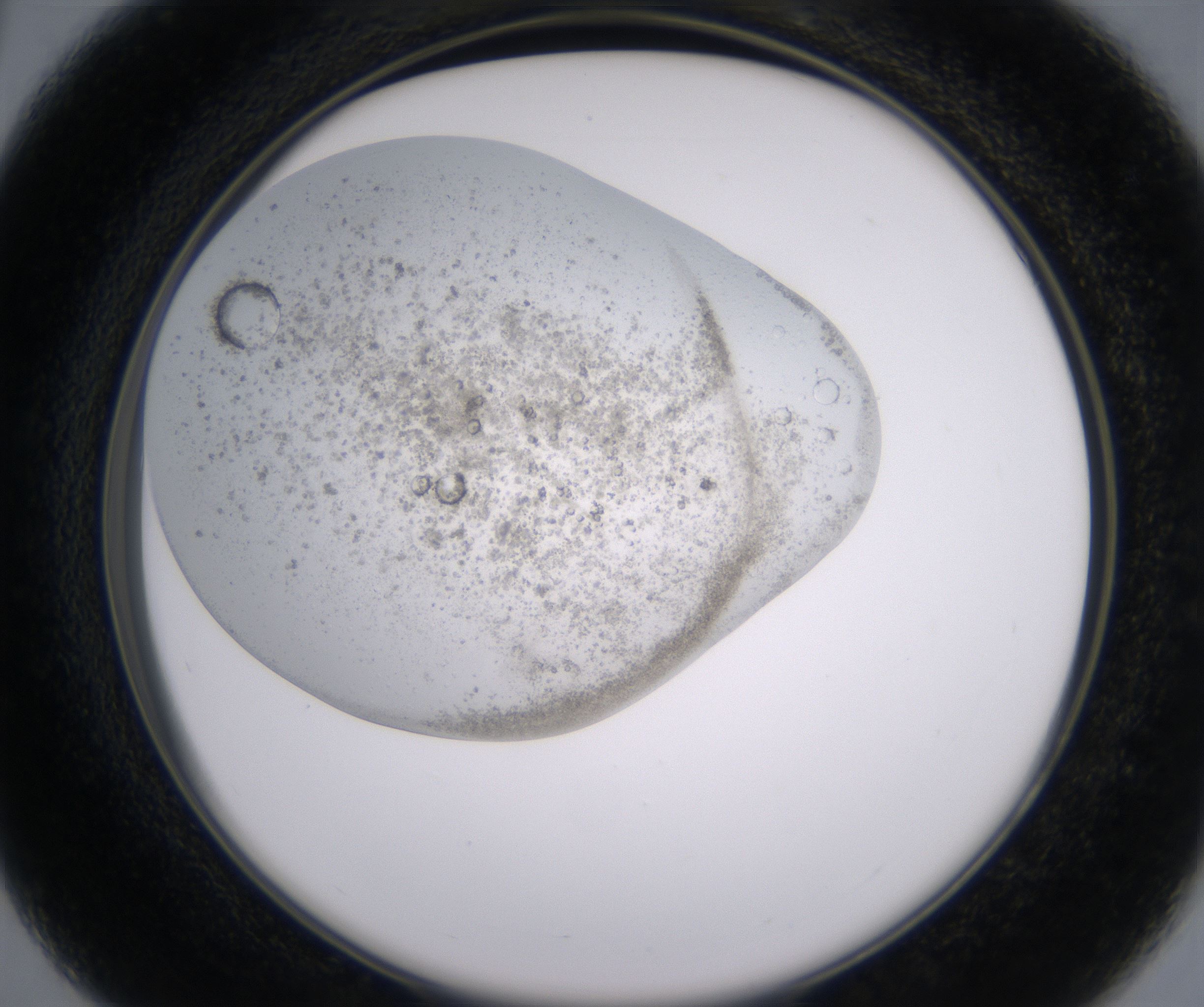 C3_HighResolution_Precipitate_2.jpg