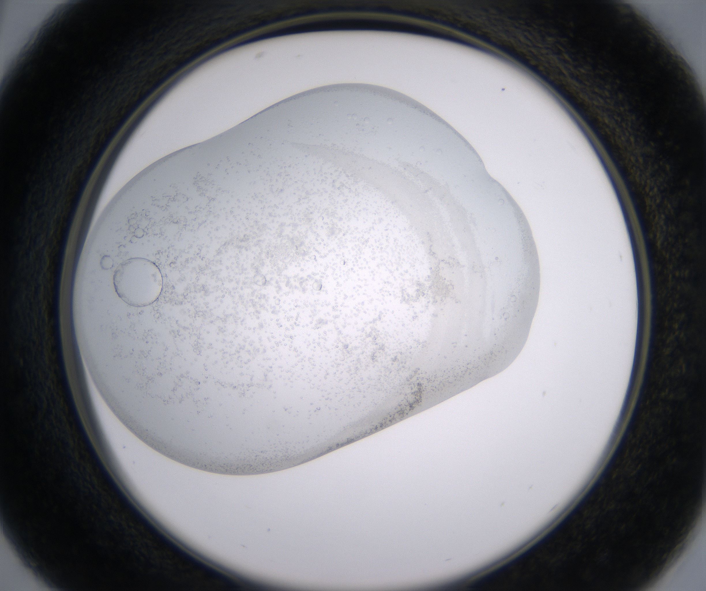 C5_HighResolution_Precipitate_2.jpg