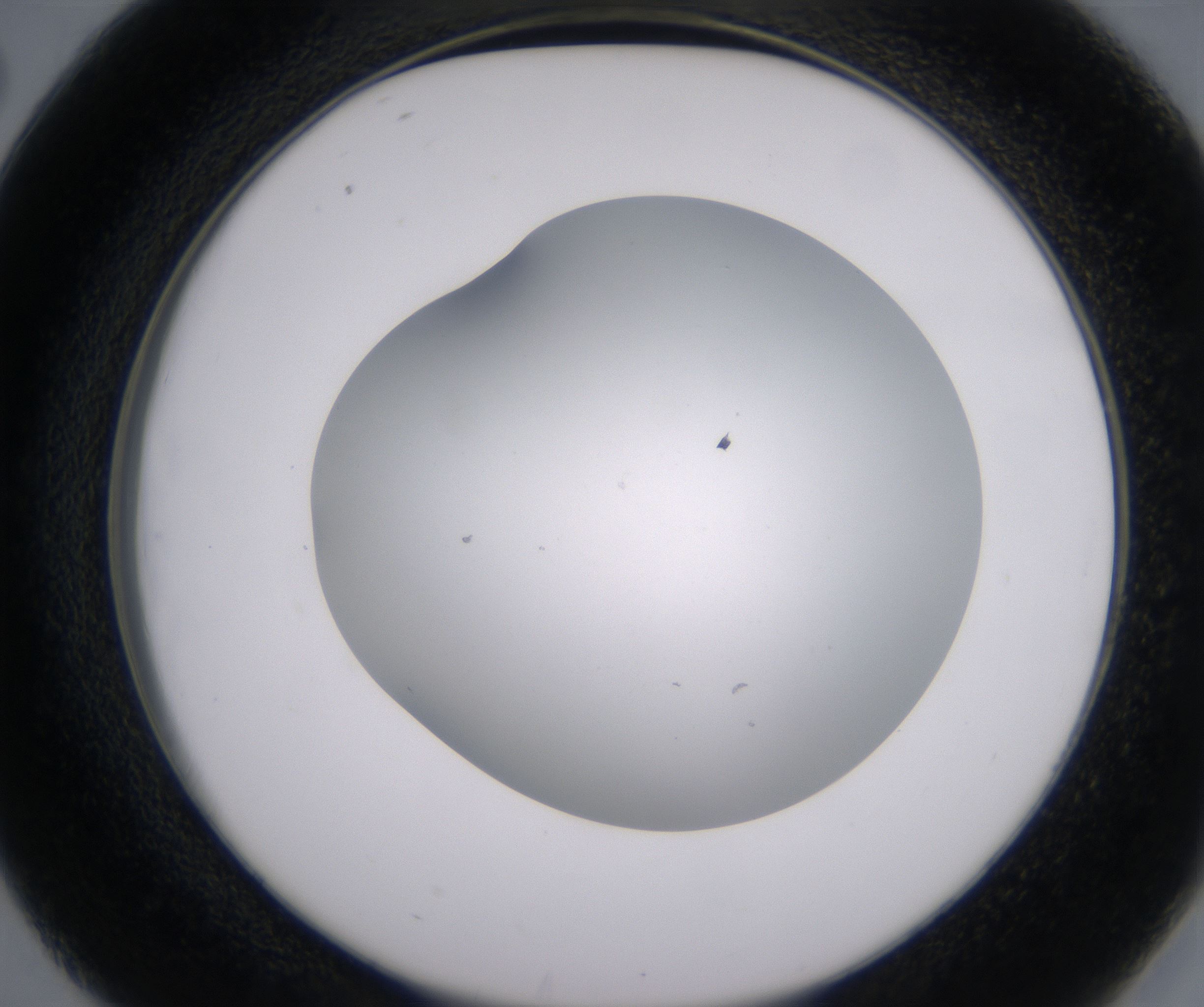 D2_HighResolution_Clear_2.jpg