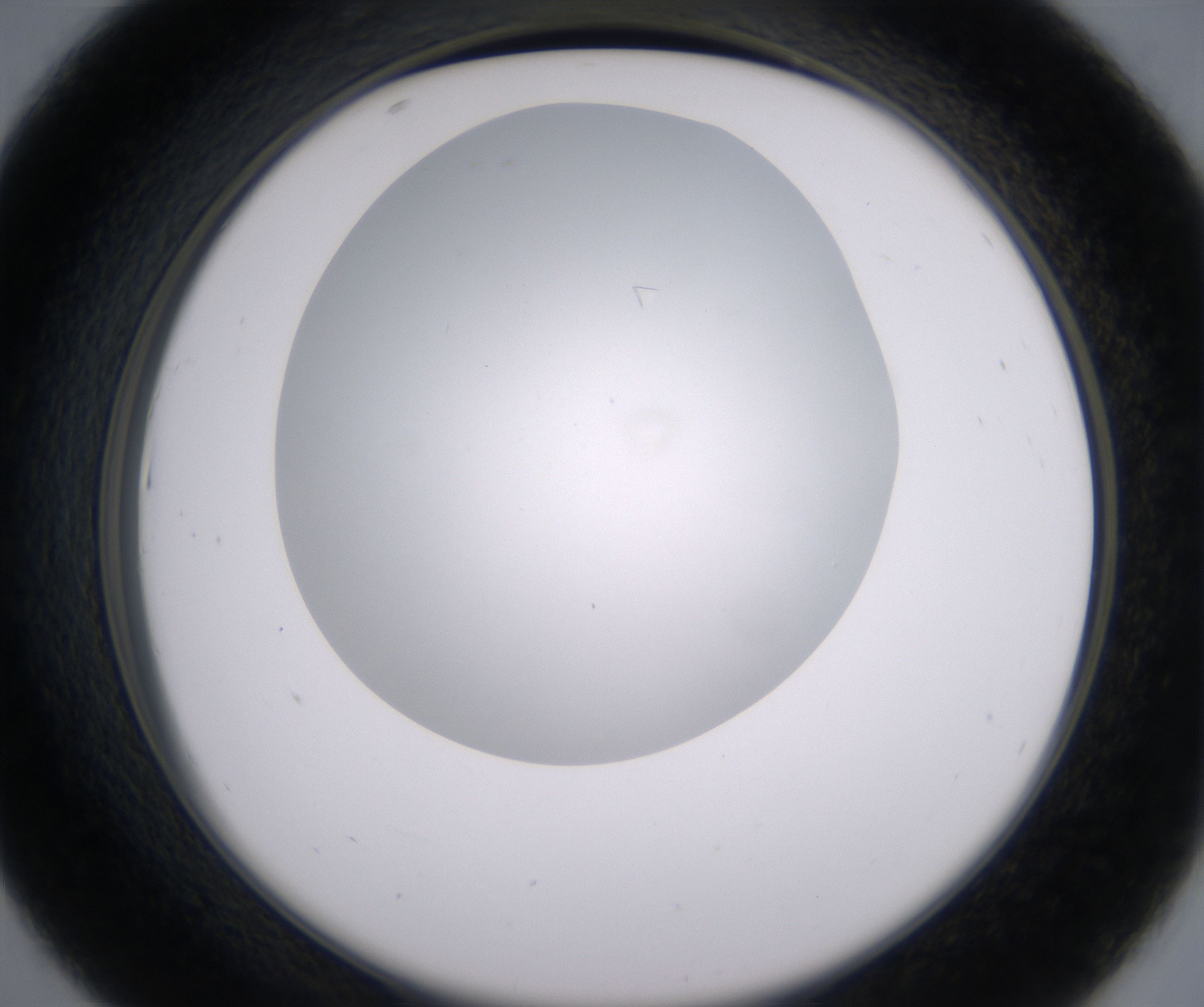 D7_HighResolution_Clear_2.jpg