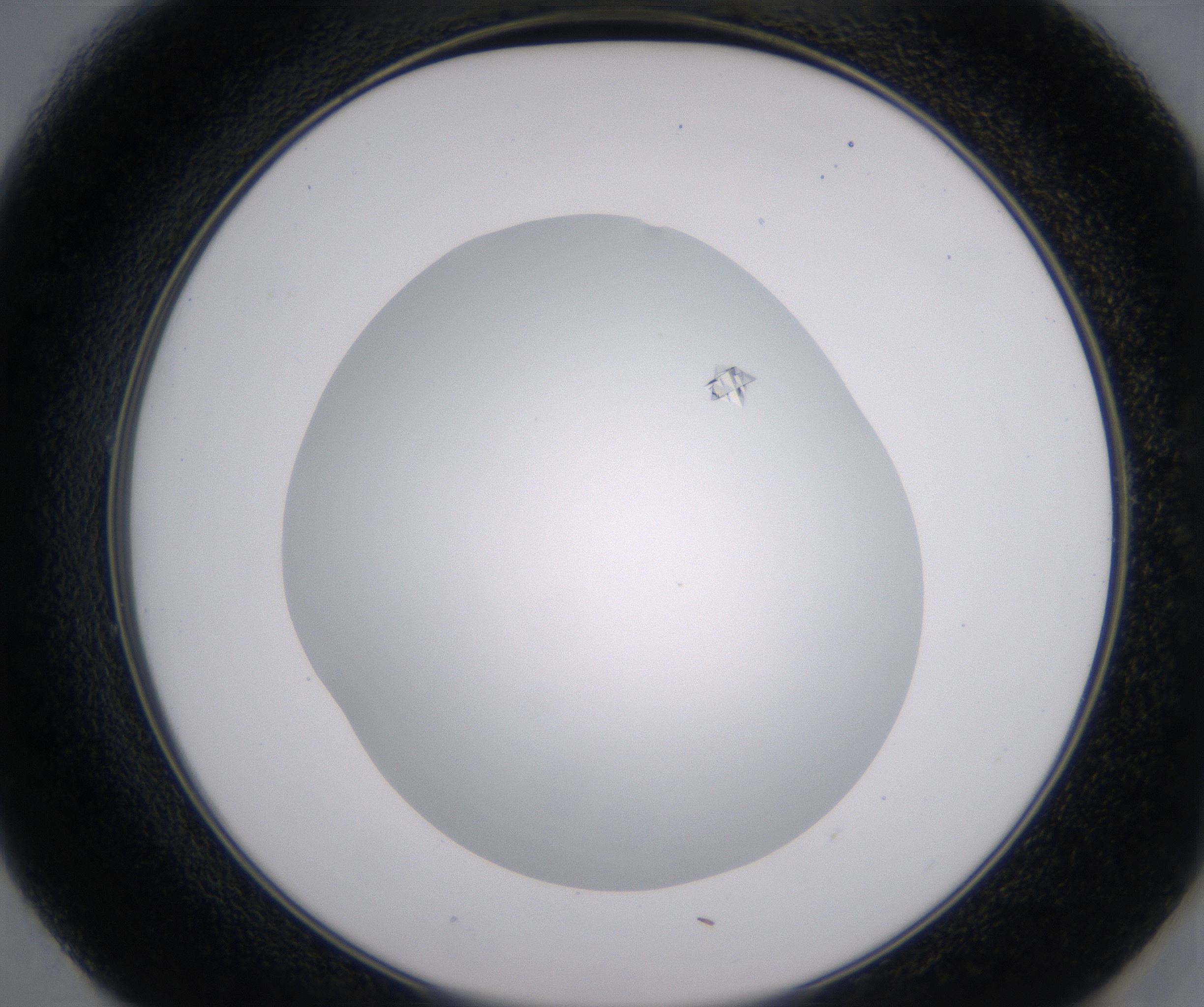 E1_HighResolution_Clear_2.jpg