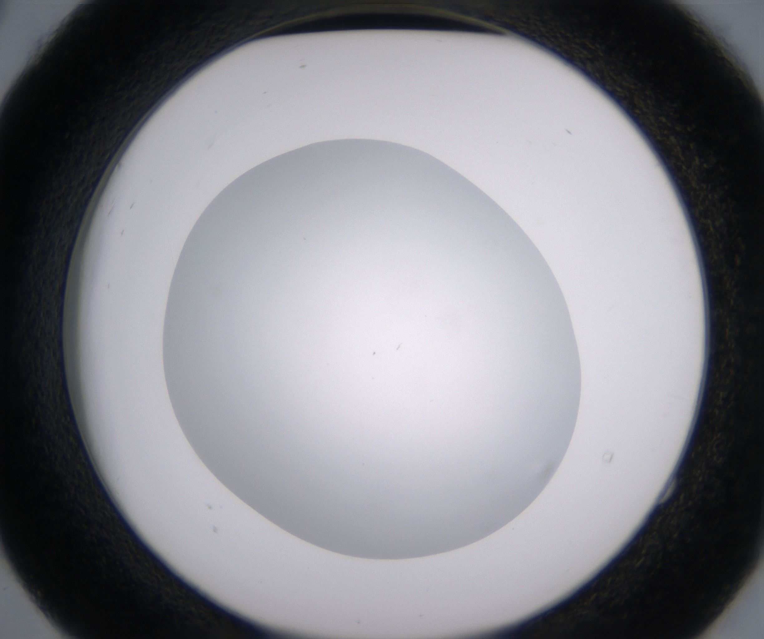 E4_HighResolution_Clear_2.jpg