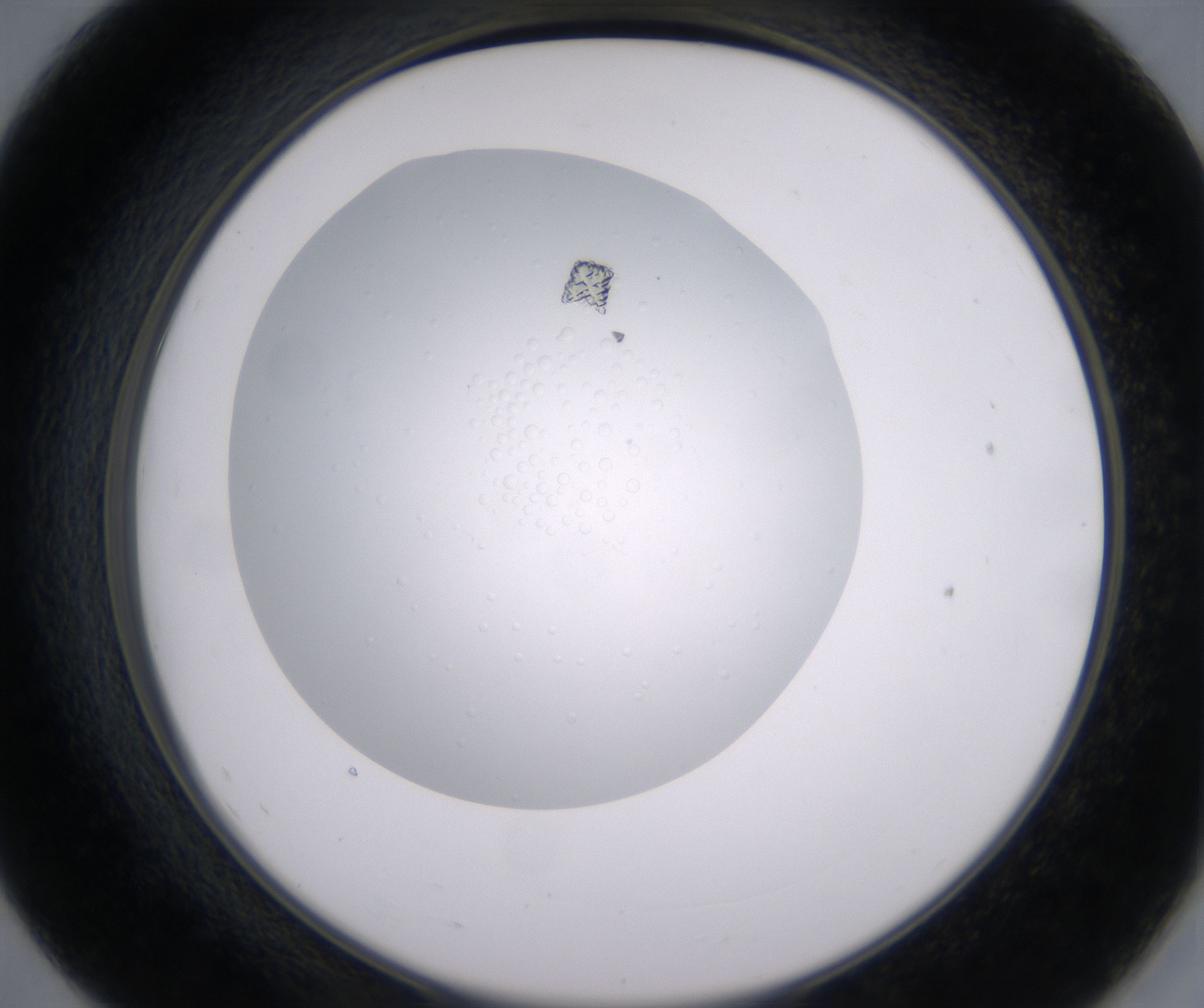 E7_HighResolution_Clear_2.jpg