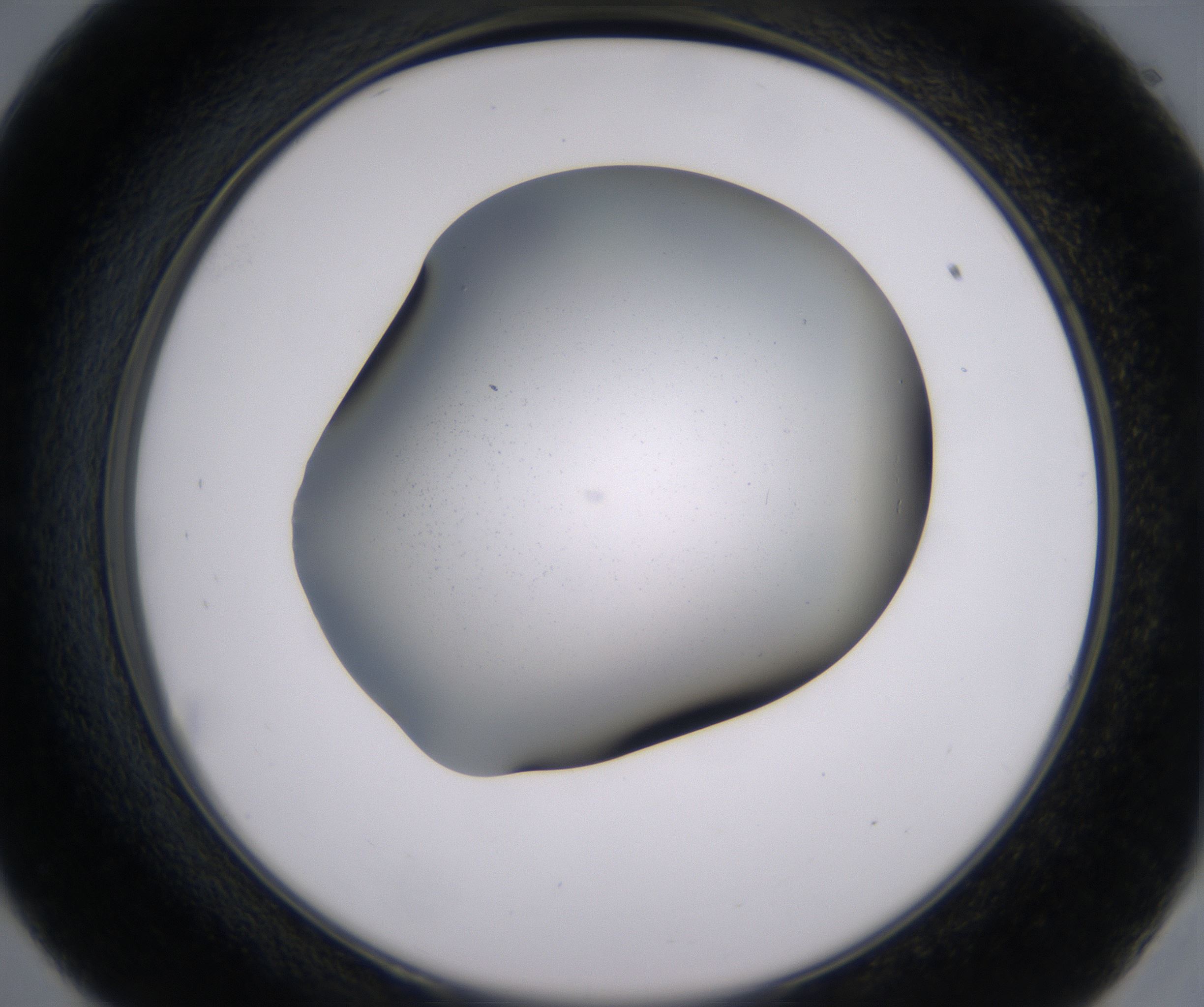 E9_HighResolution_Precipitate_2.jpg