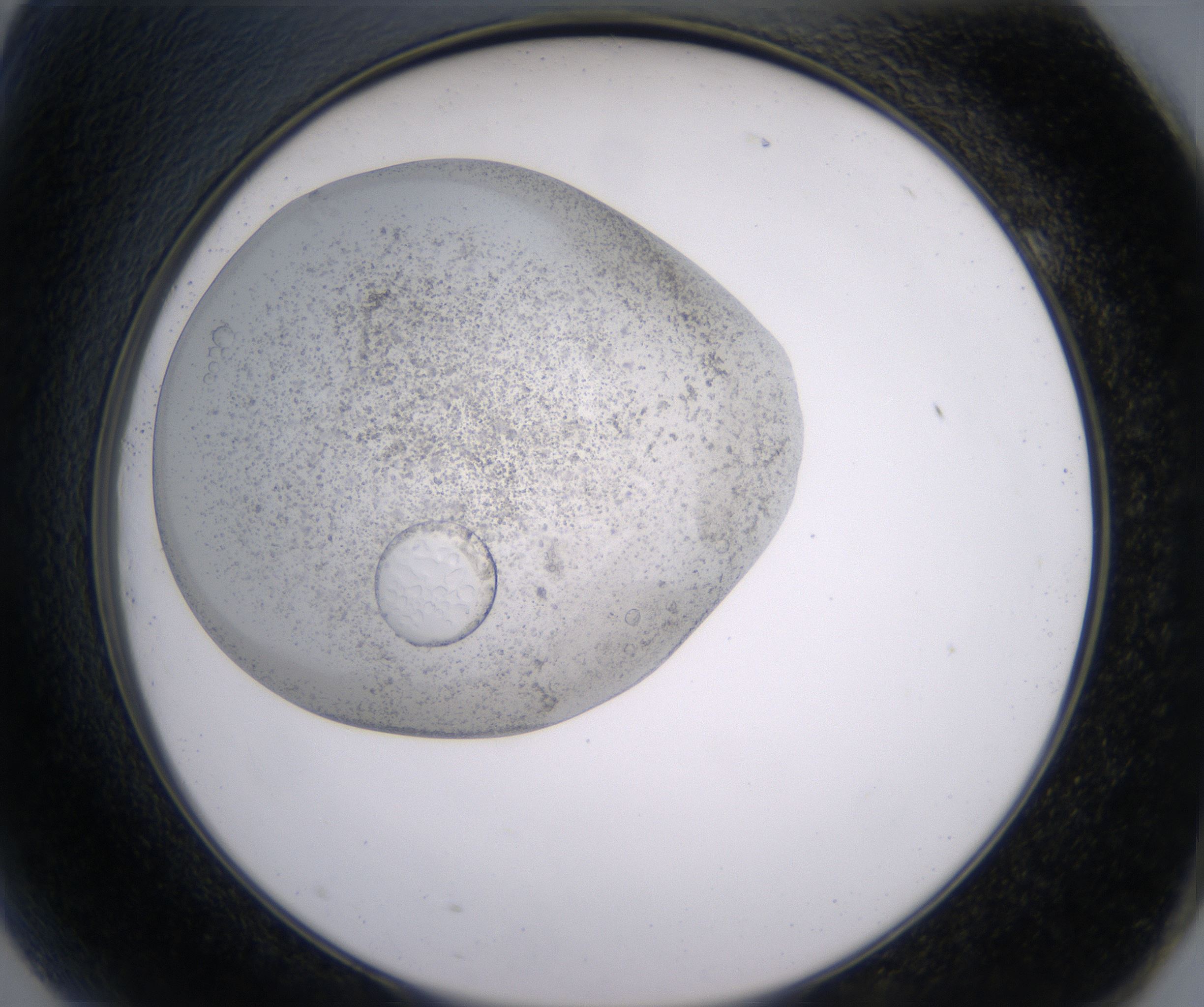 G9_HighResolution_Precipitate_2.jpg