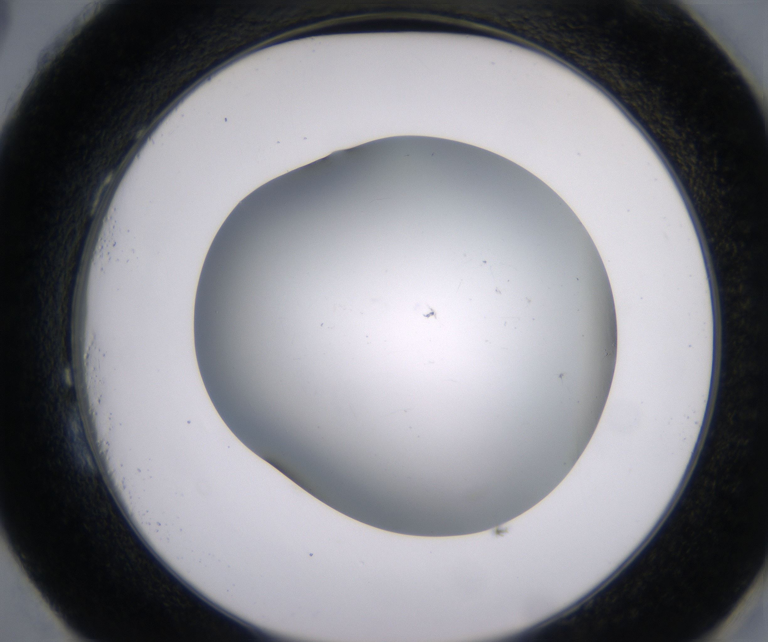 H3_HighResolution_Clear_2.jpg