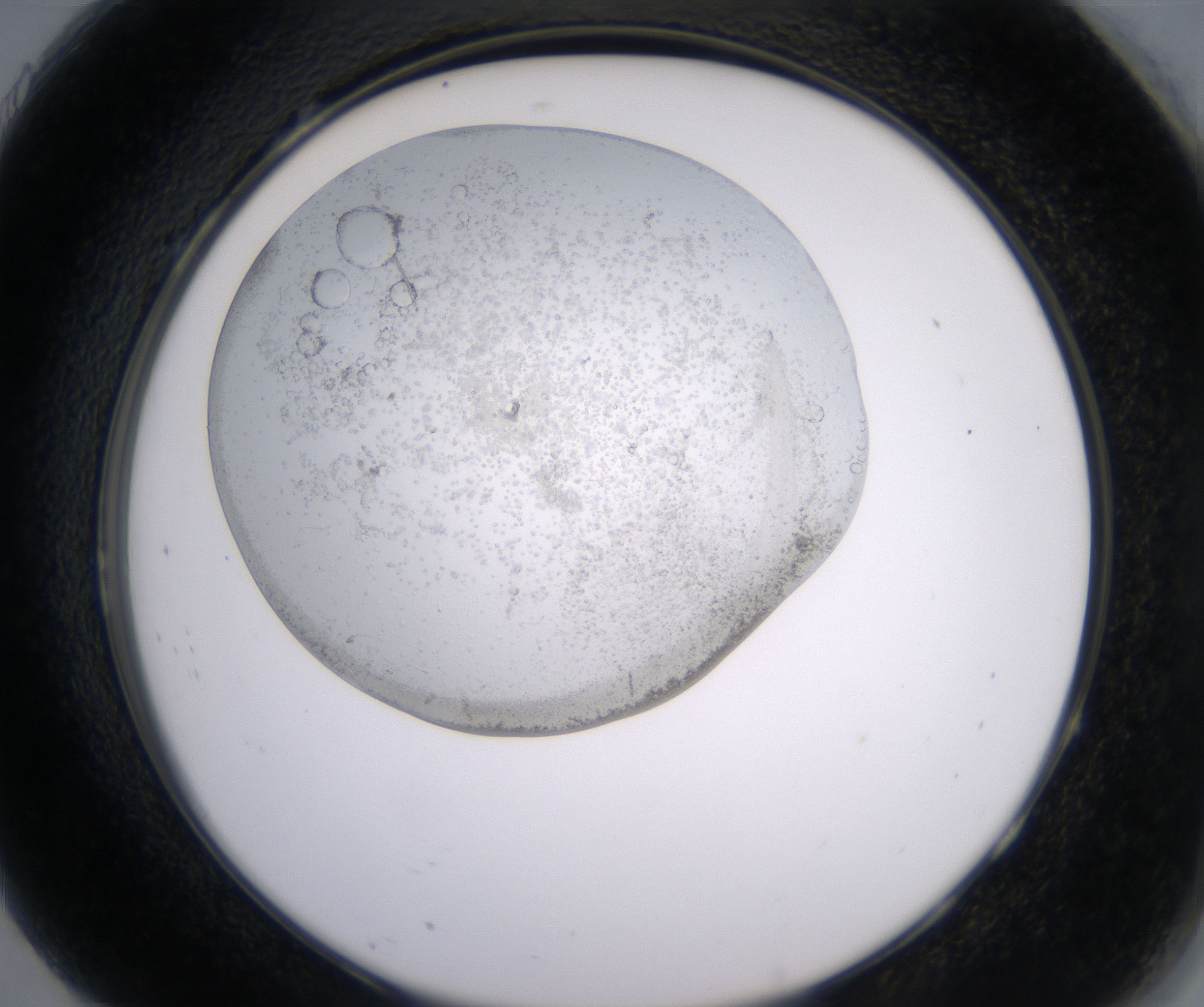 H7_HighResolution_Precipitate_2.jpg