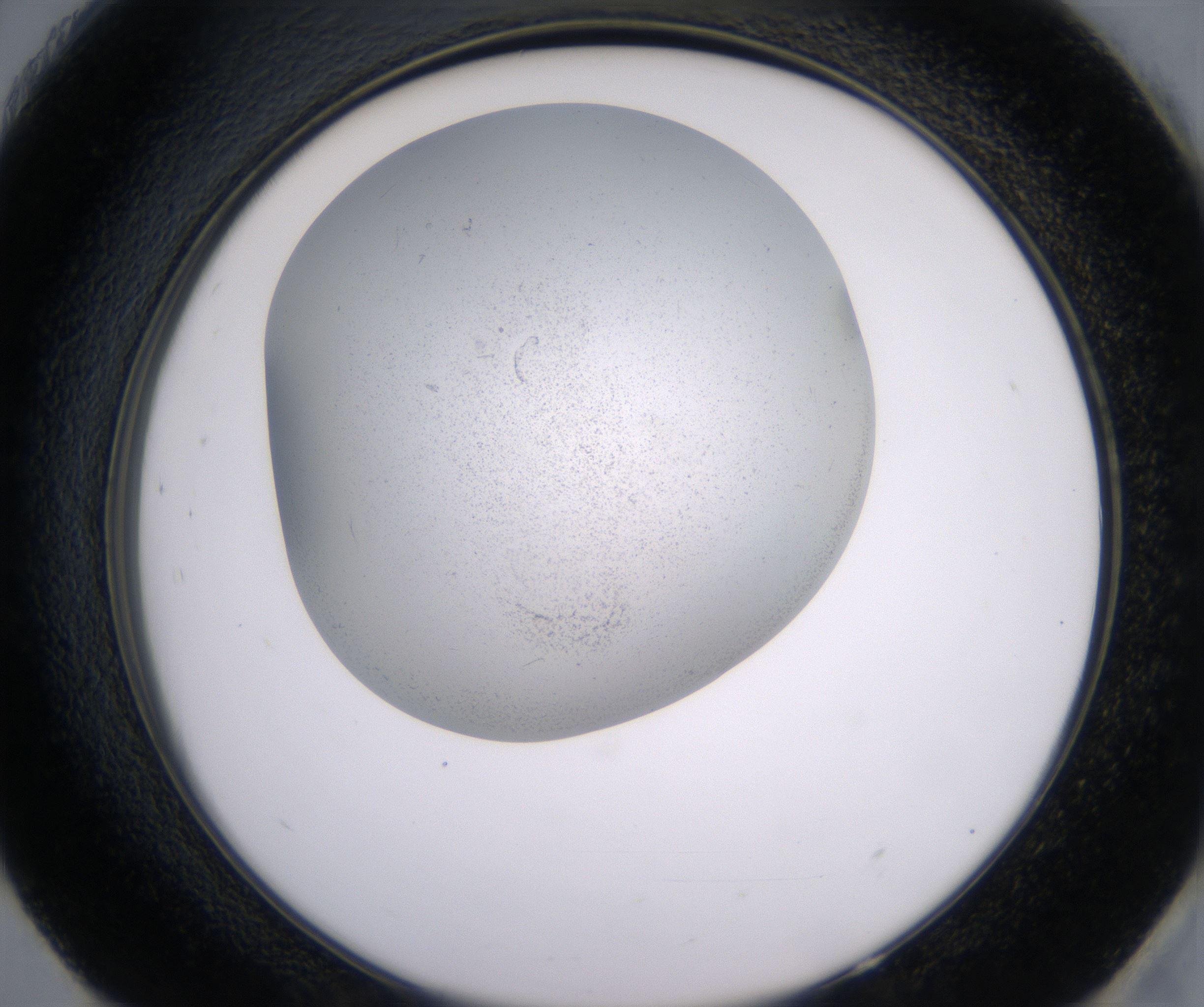 H9_HighResolution_Precipitate_2.jpg