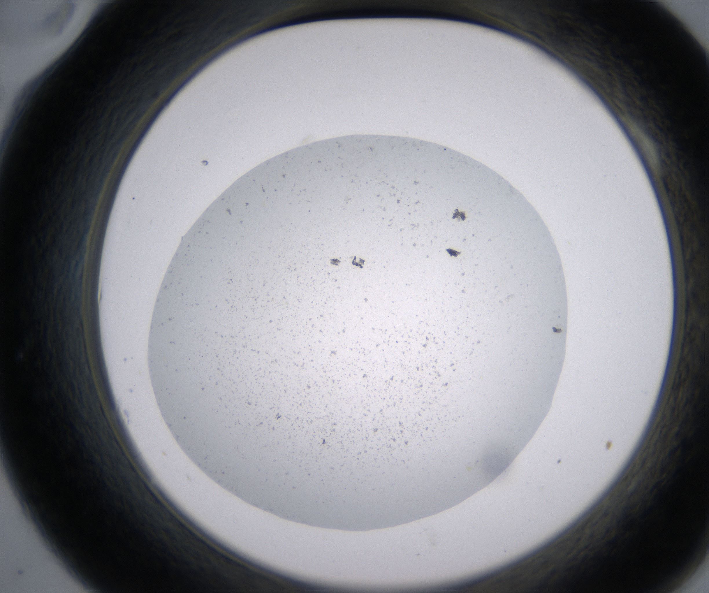 A10_HighResolution_Precipitate_2.jpg
