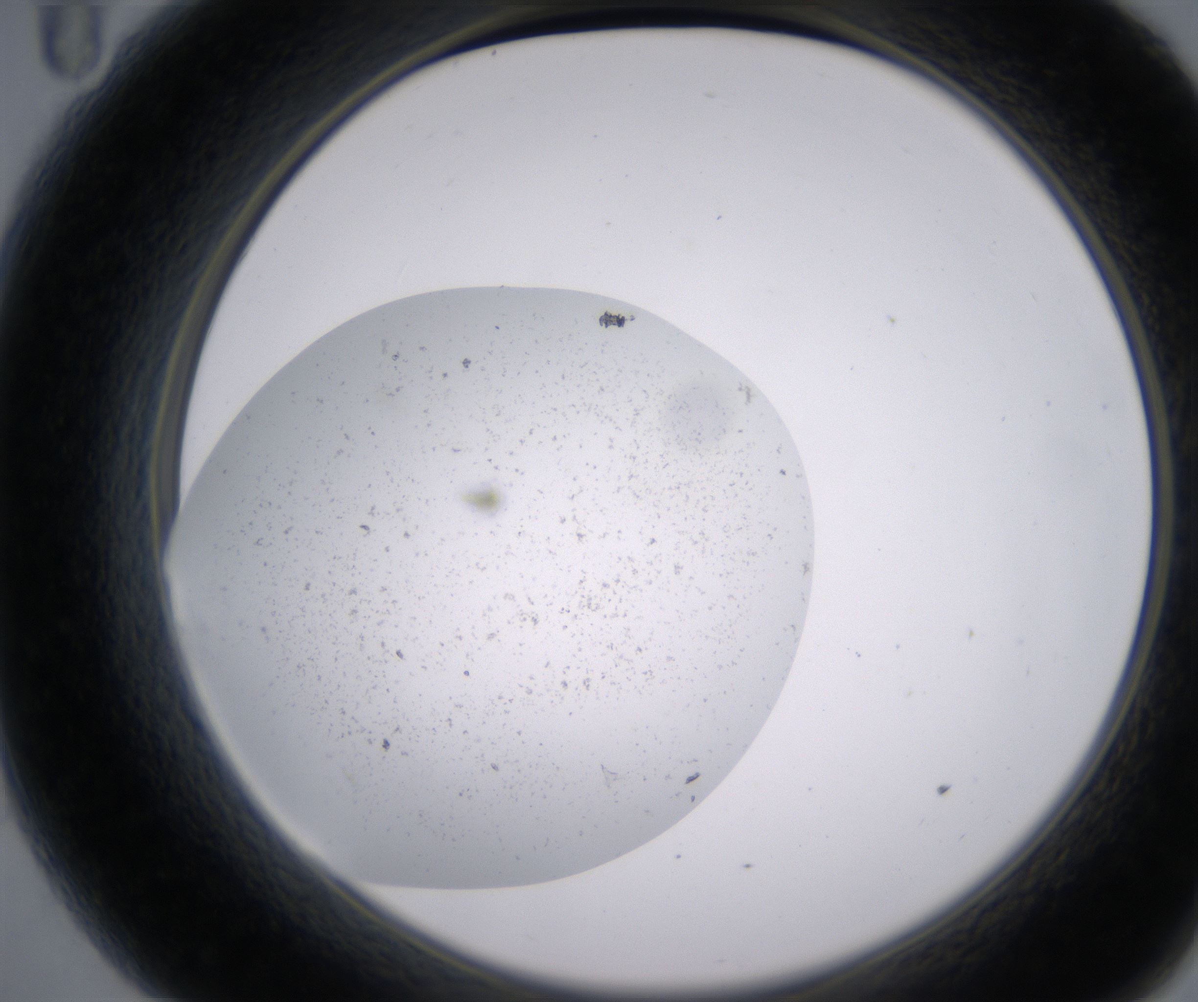 A11_HighResolution_Precipitate_2.jpg