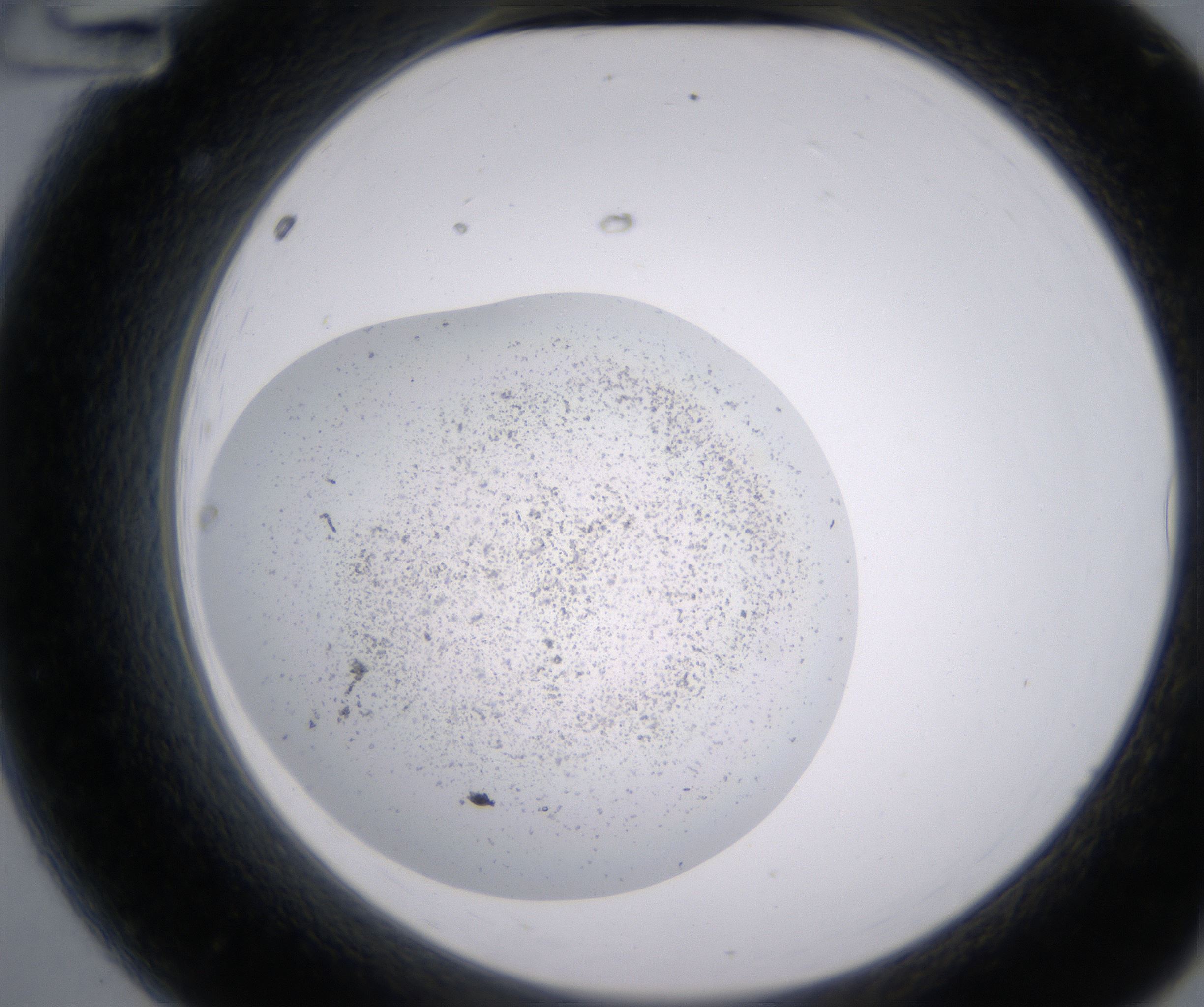 A12_HighResolution_Precipitate_2.jpg