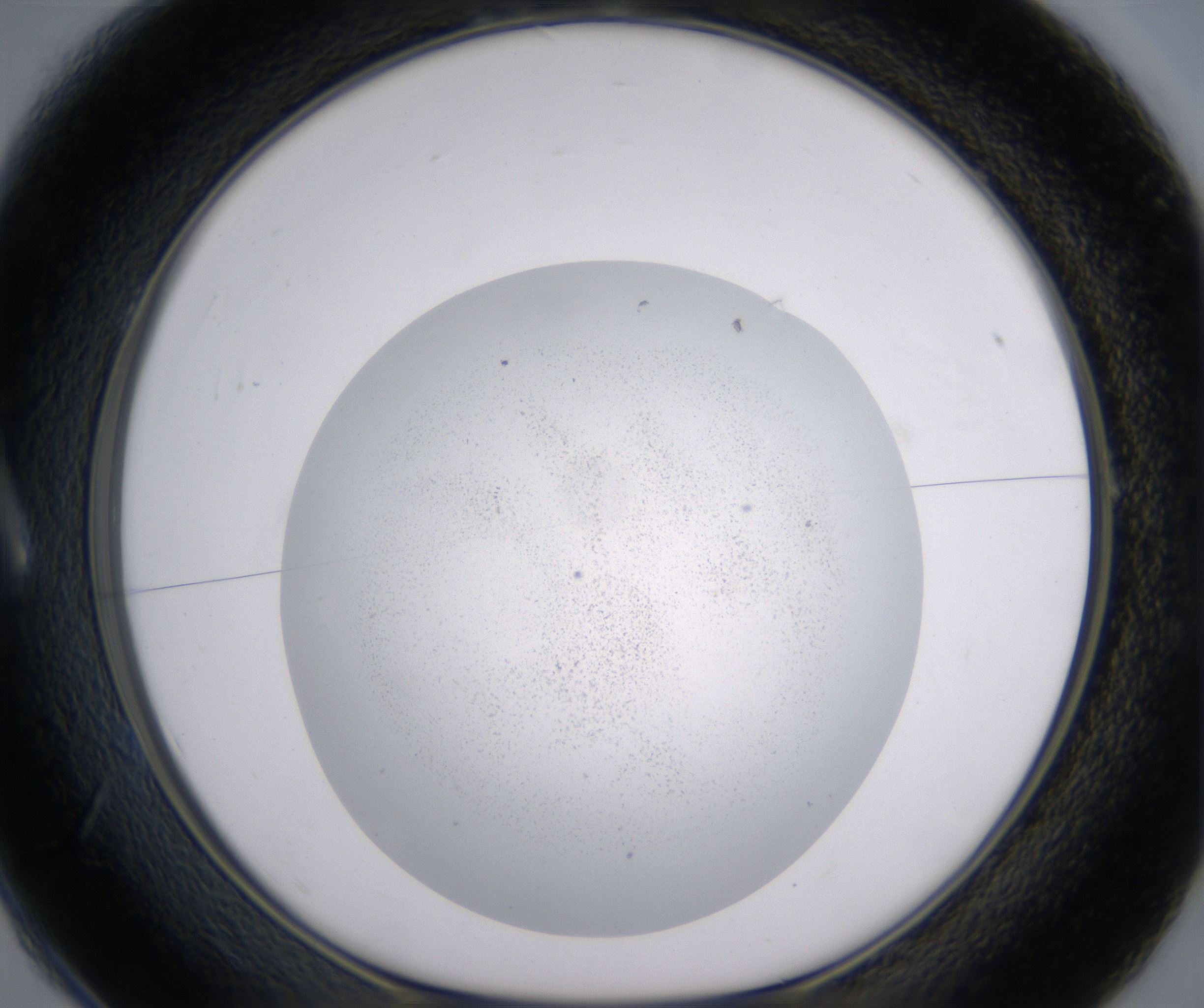 A1_HighResolution_Precipitate_1.jpg