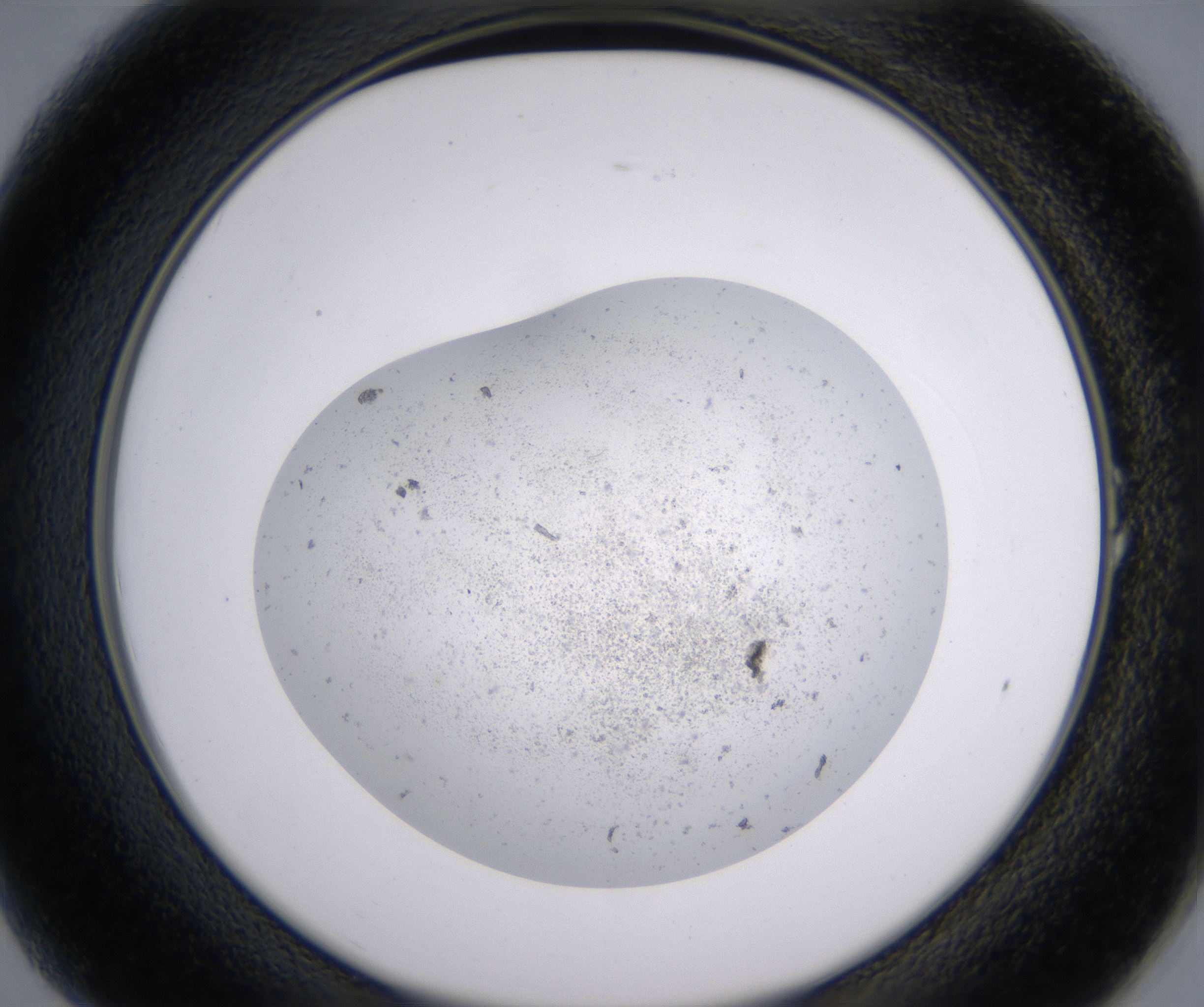 A1_HighResolution_Precipitate_2.jpg