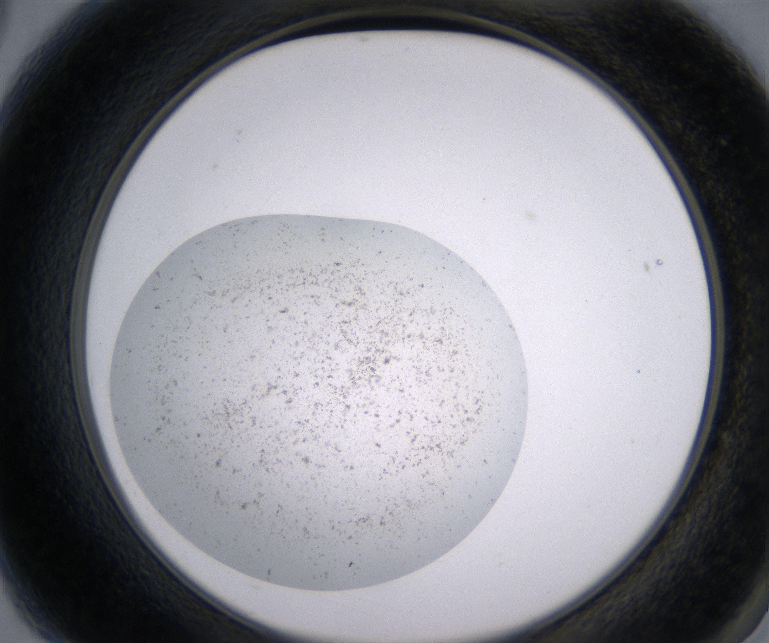 A3_HighResolution_Precipitate_2.jpg