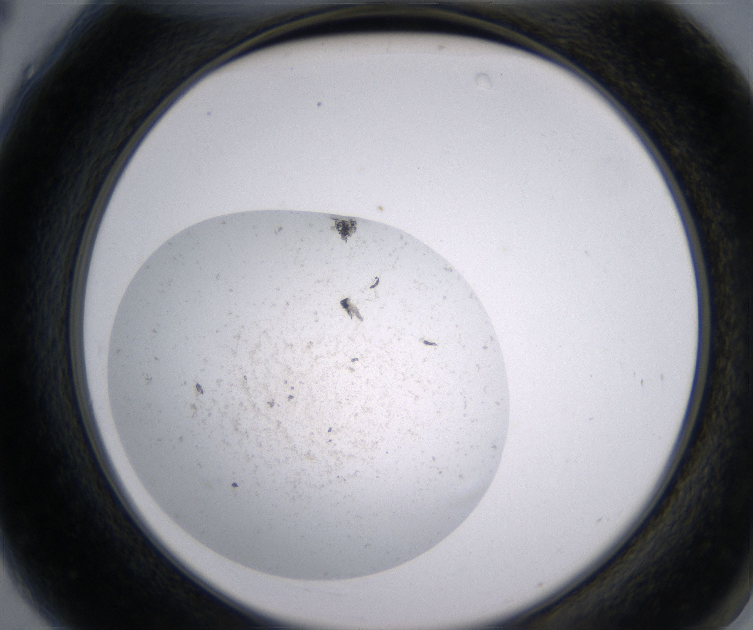 A4_HighResolution_Precipitate_2.jpg