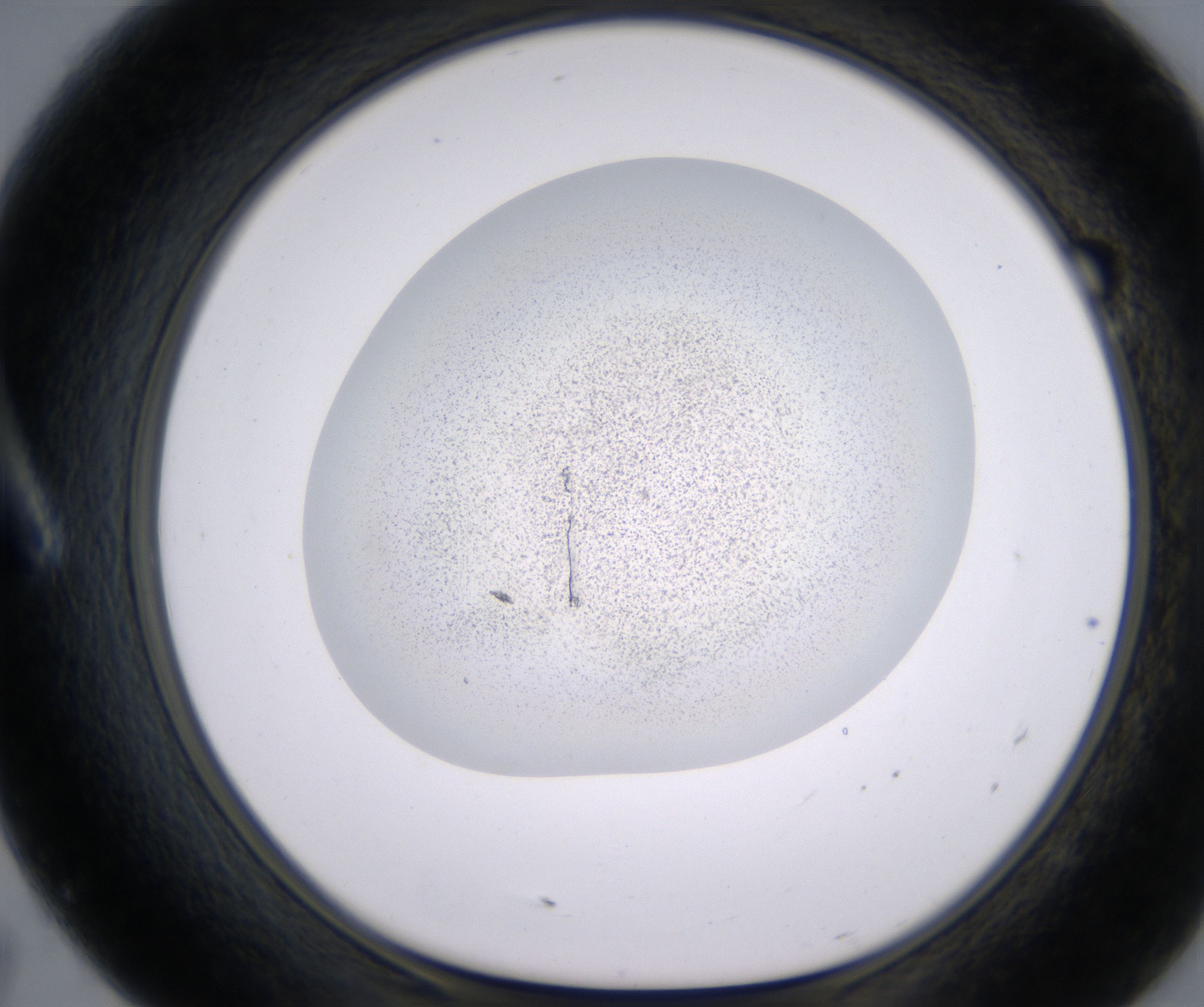 A7_HighResolution_Precipitate_1.jpg