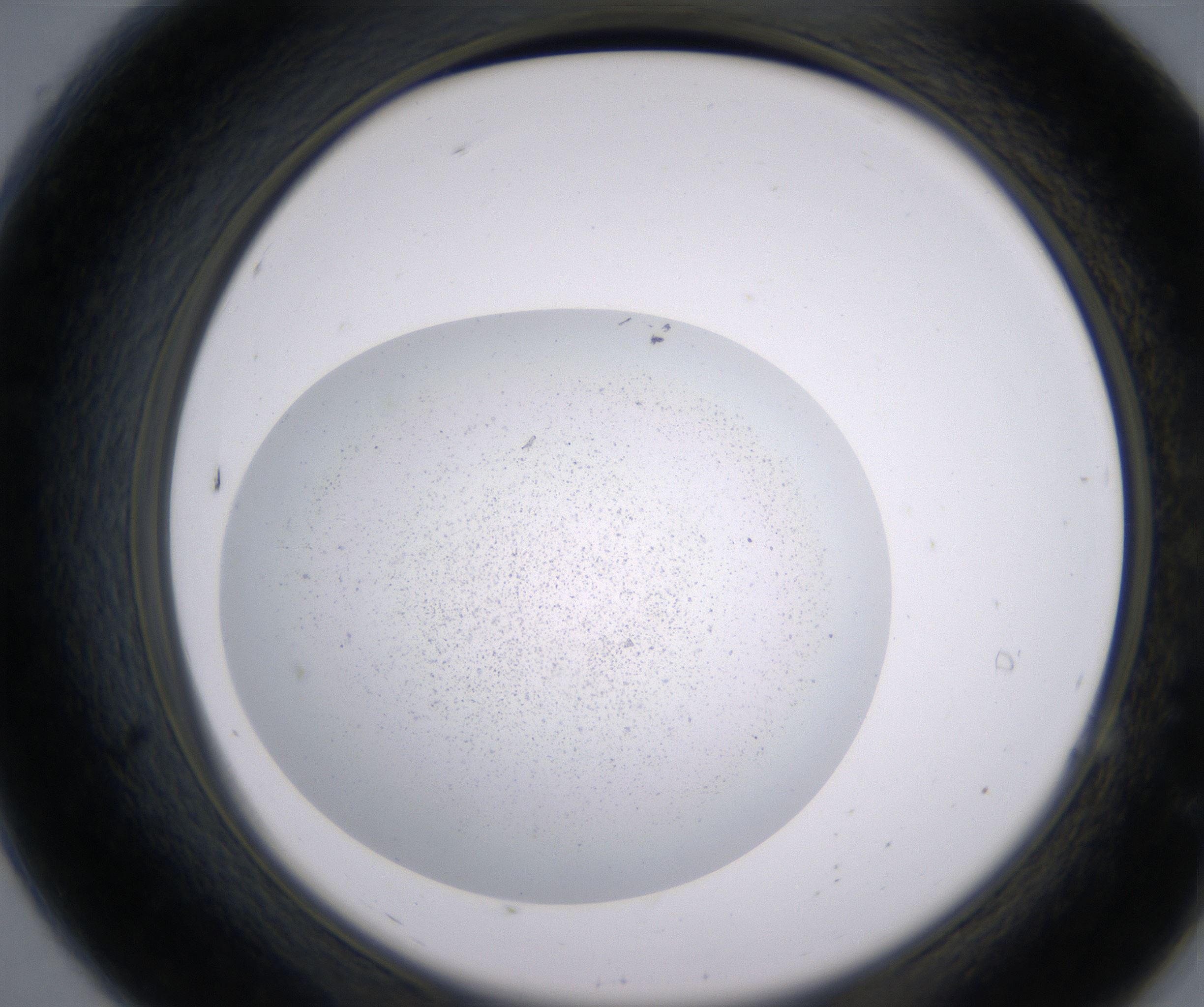 A7_HighResolution_Precipitate_2.jpg