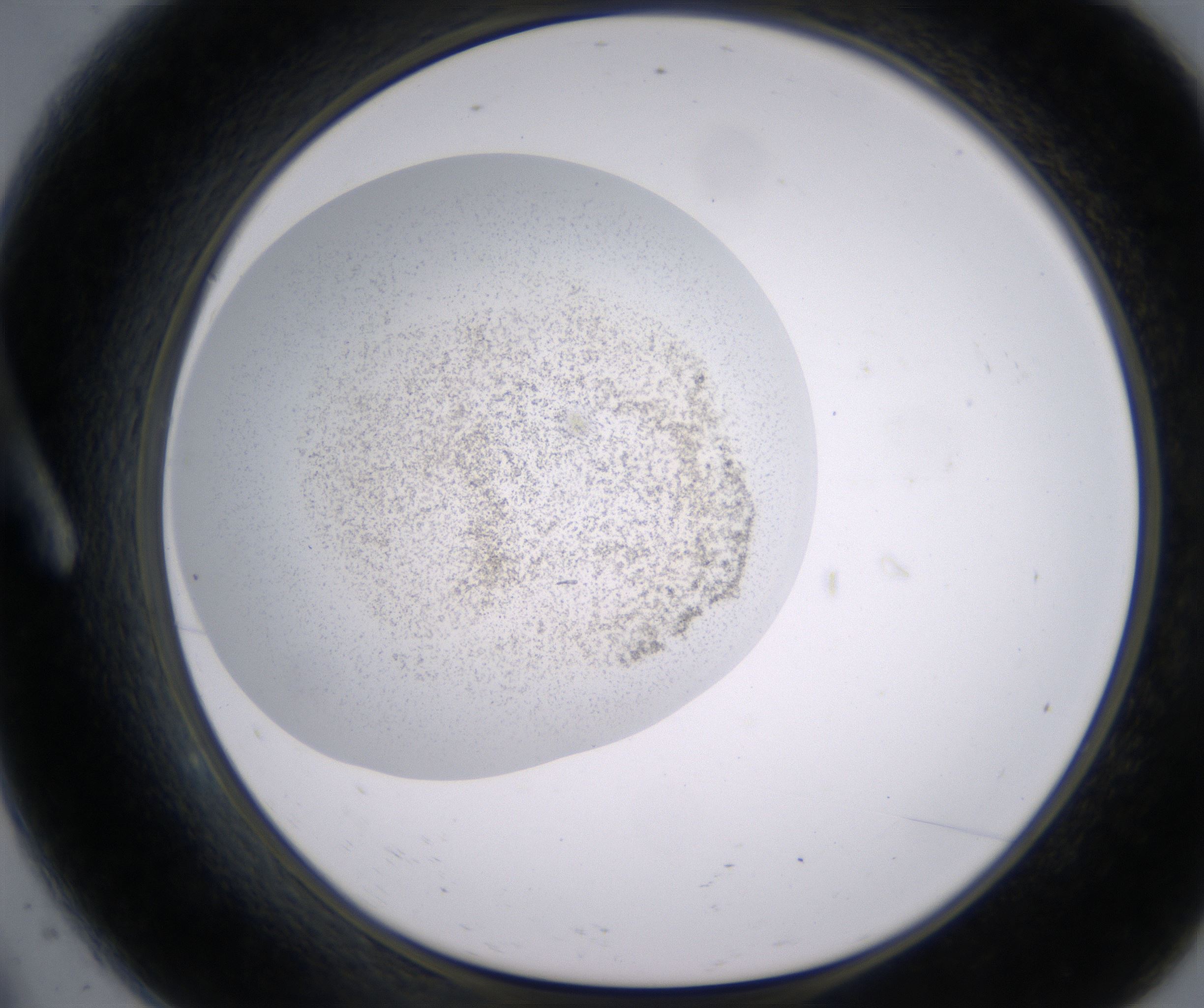 A9_HighResolution_Precipitate_1.jpg