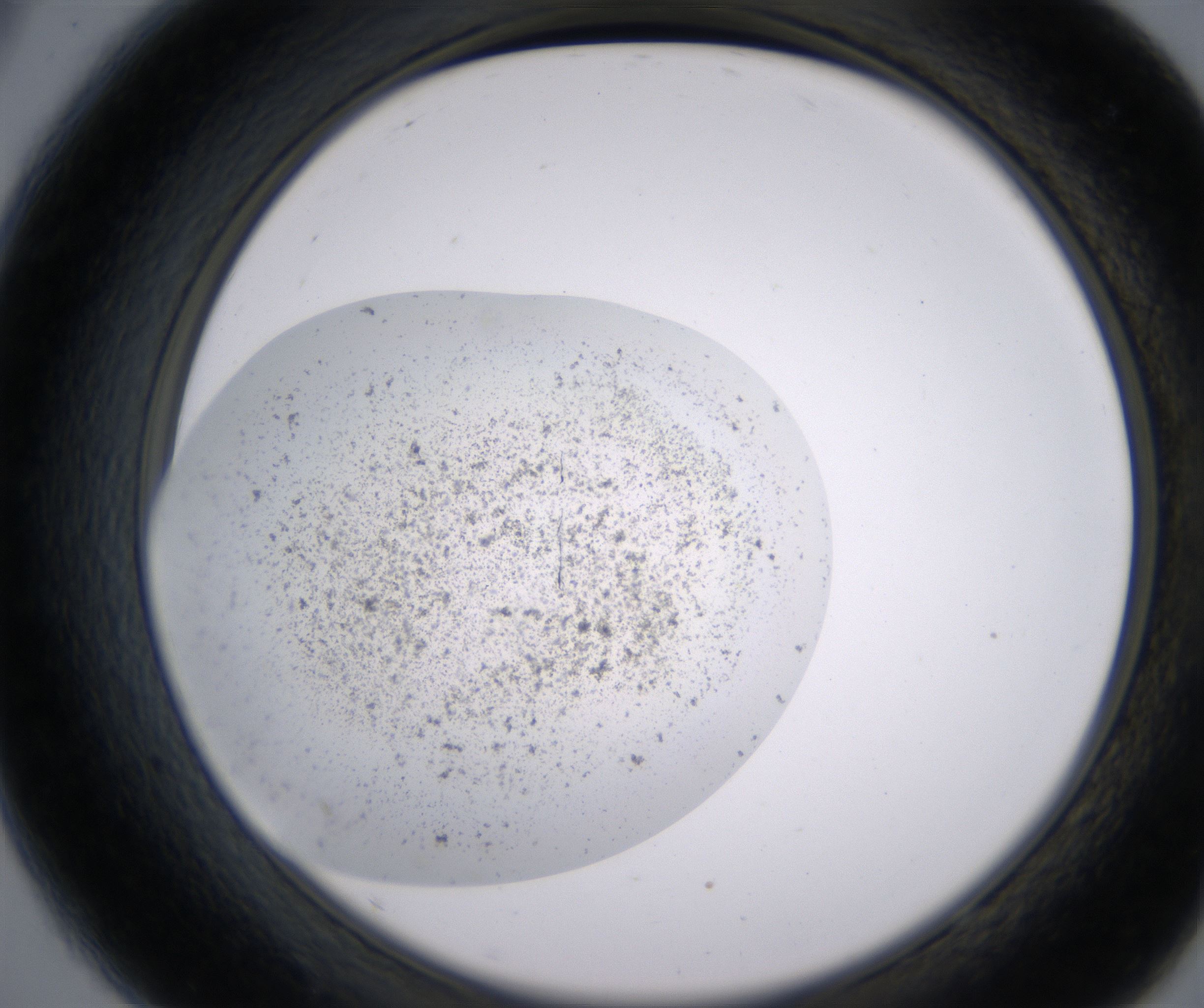 A9_HighResolution_Precipitate_2.jpg