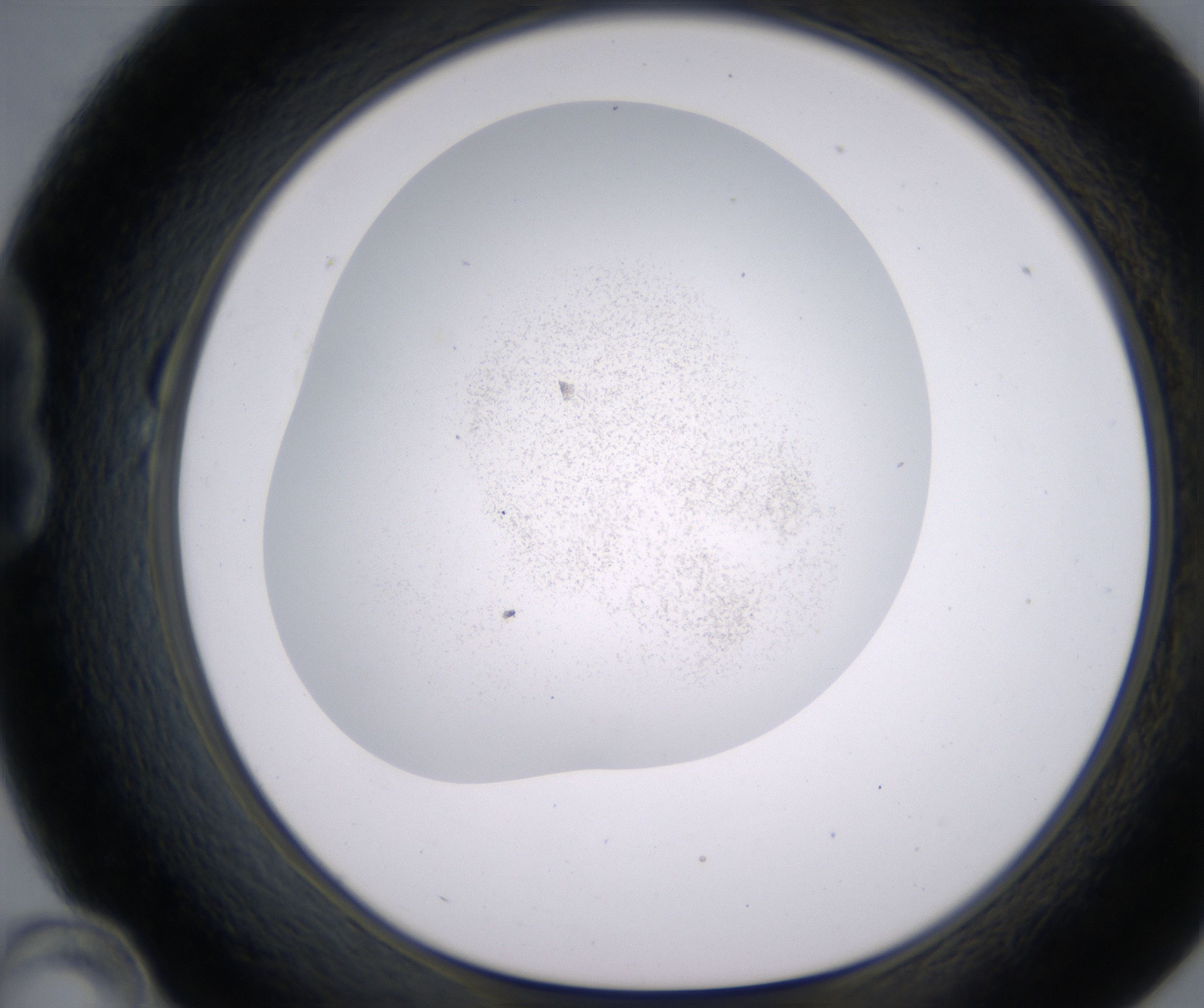 B10_HighResolution_Precipitate_1.jpg