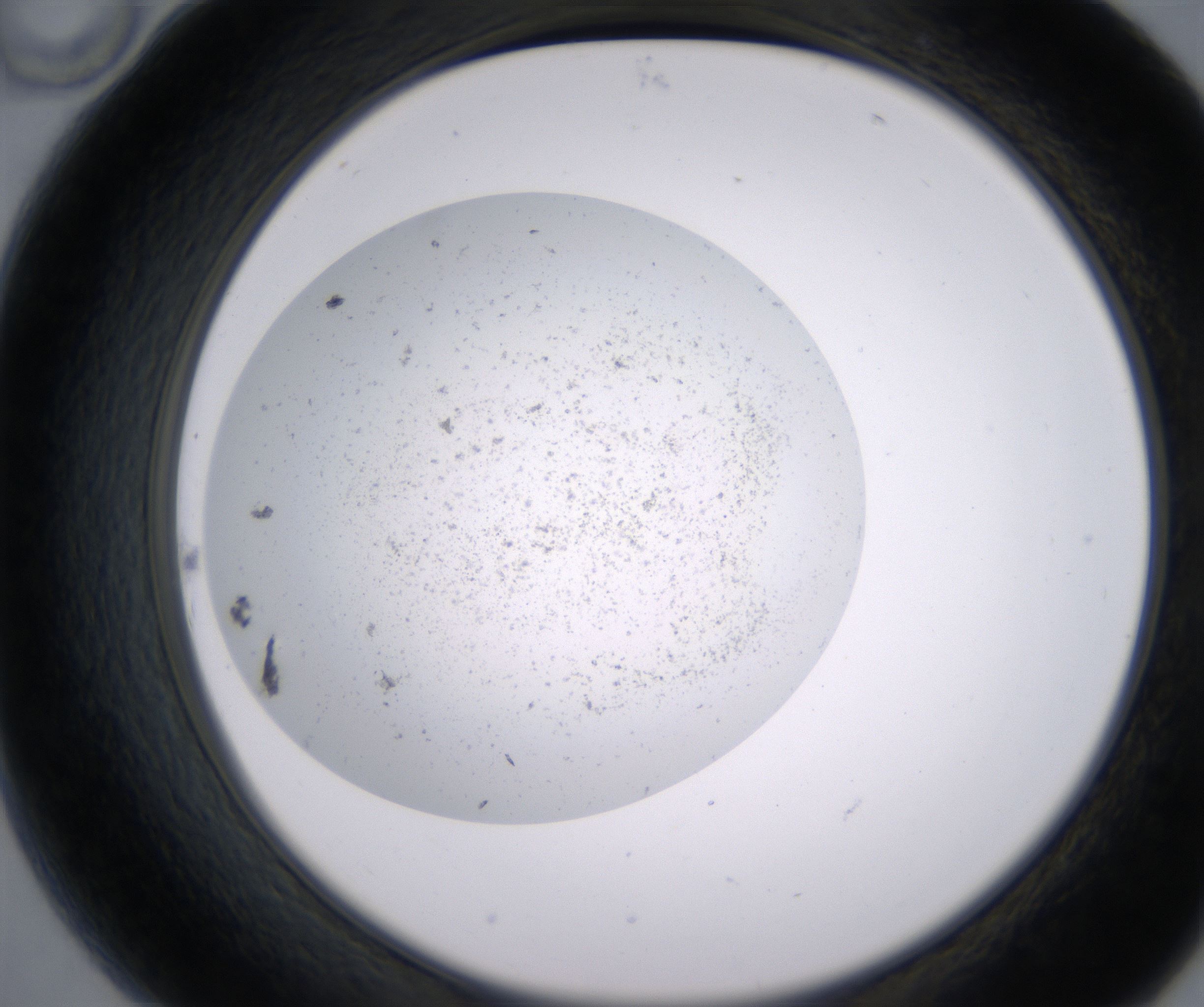 B10_HighResolution_Precipitate_2.jpg