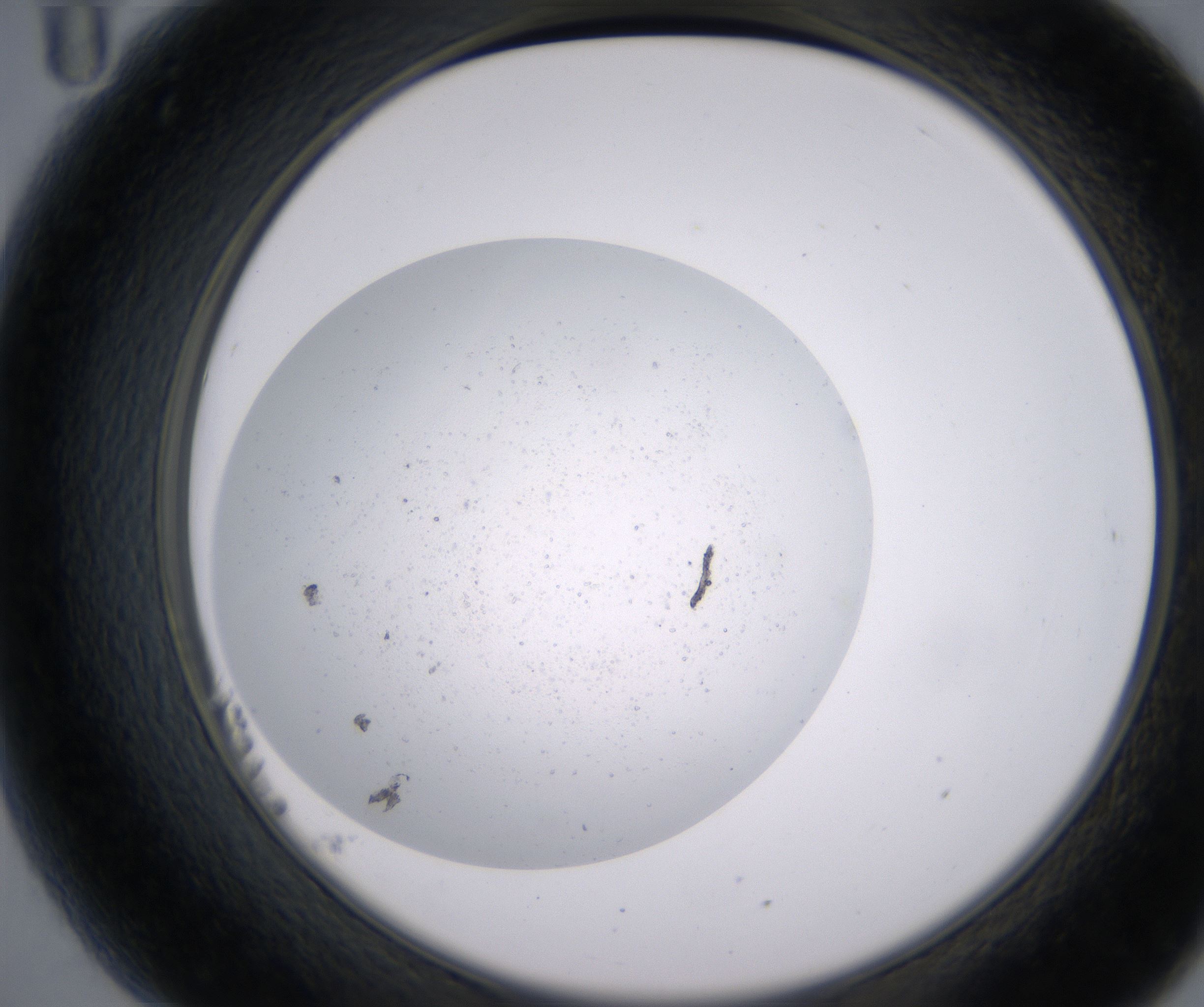 B11_HighResolution_Precipitate_2.jpg