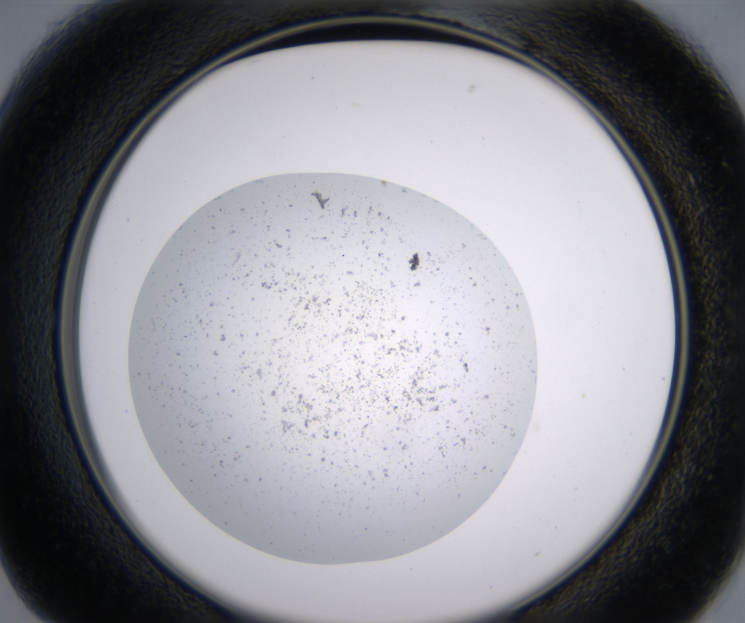 B1_HighResolution_Precipitate_2.jpg