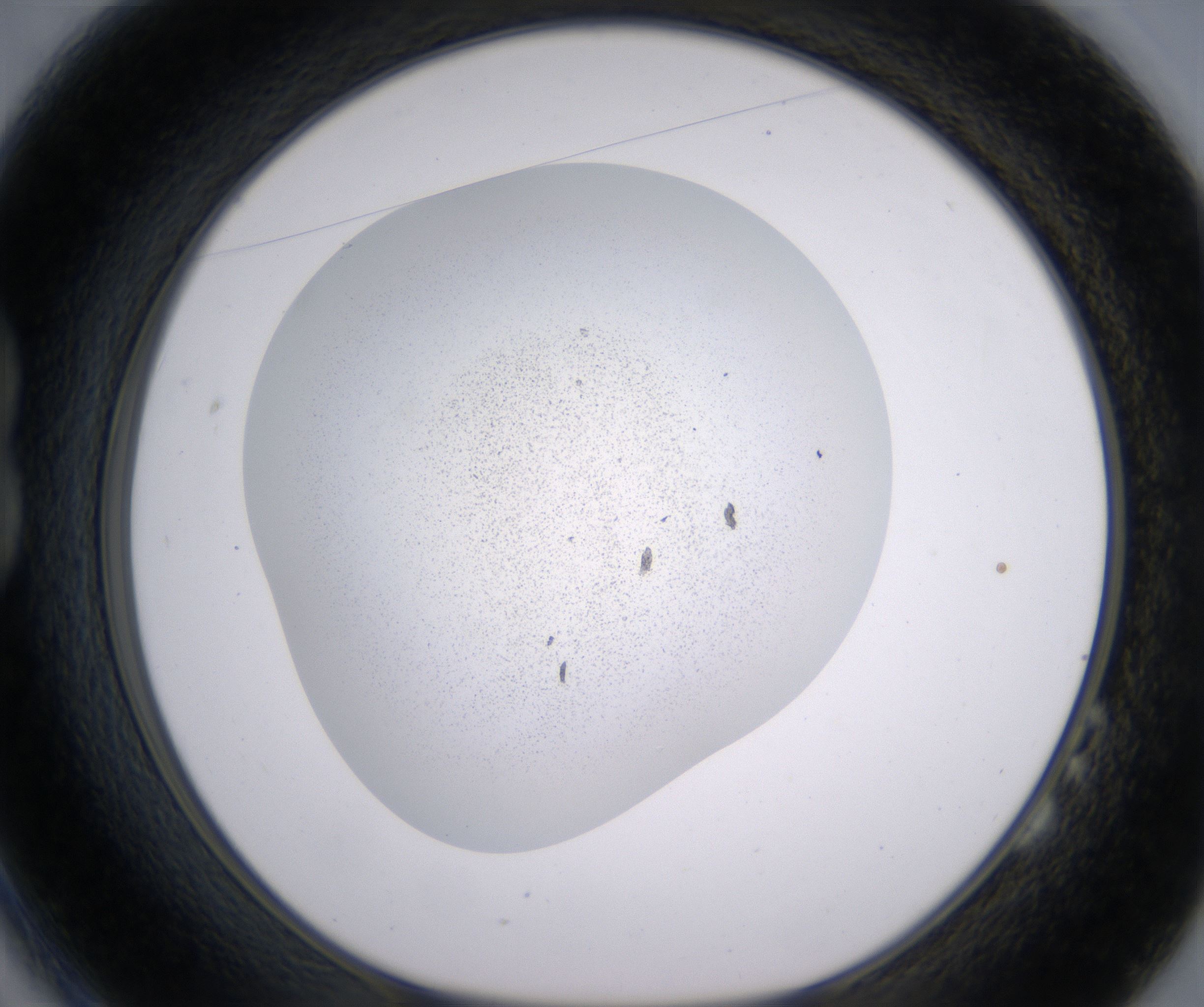 B2_HighResolution_Precipitate_1.jpg