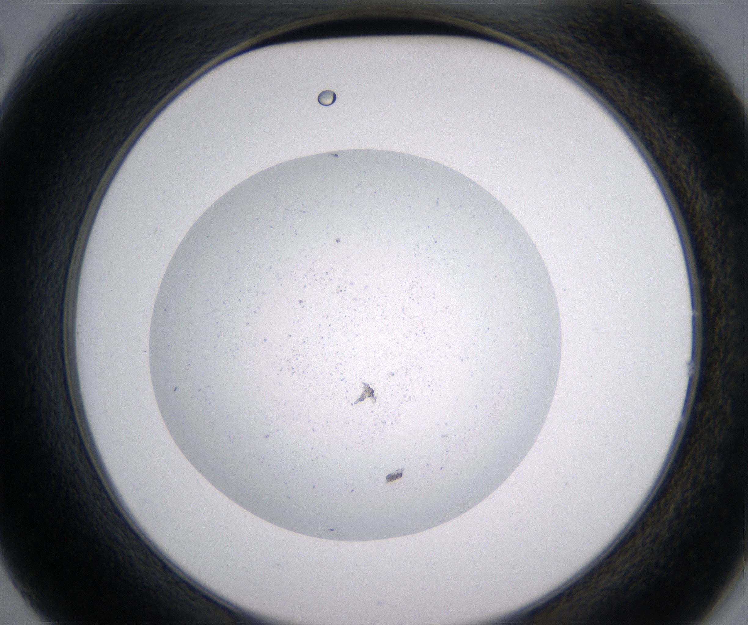 B2_HighResolution_Precipitate_2.jpg