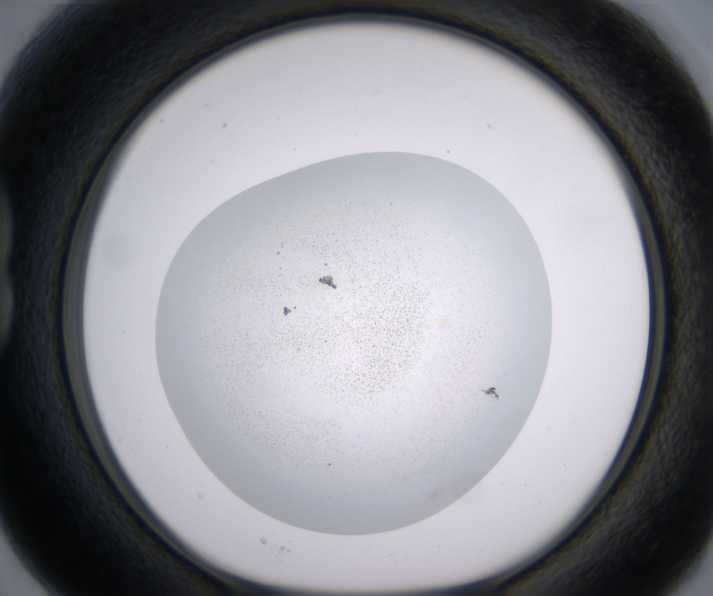 B3_HighResolution_Precipitate_1.jpg