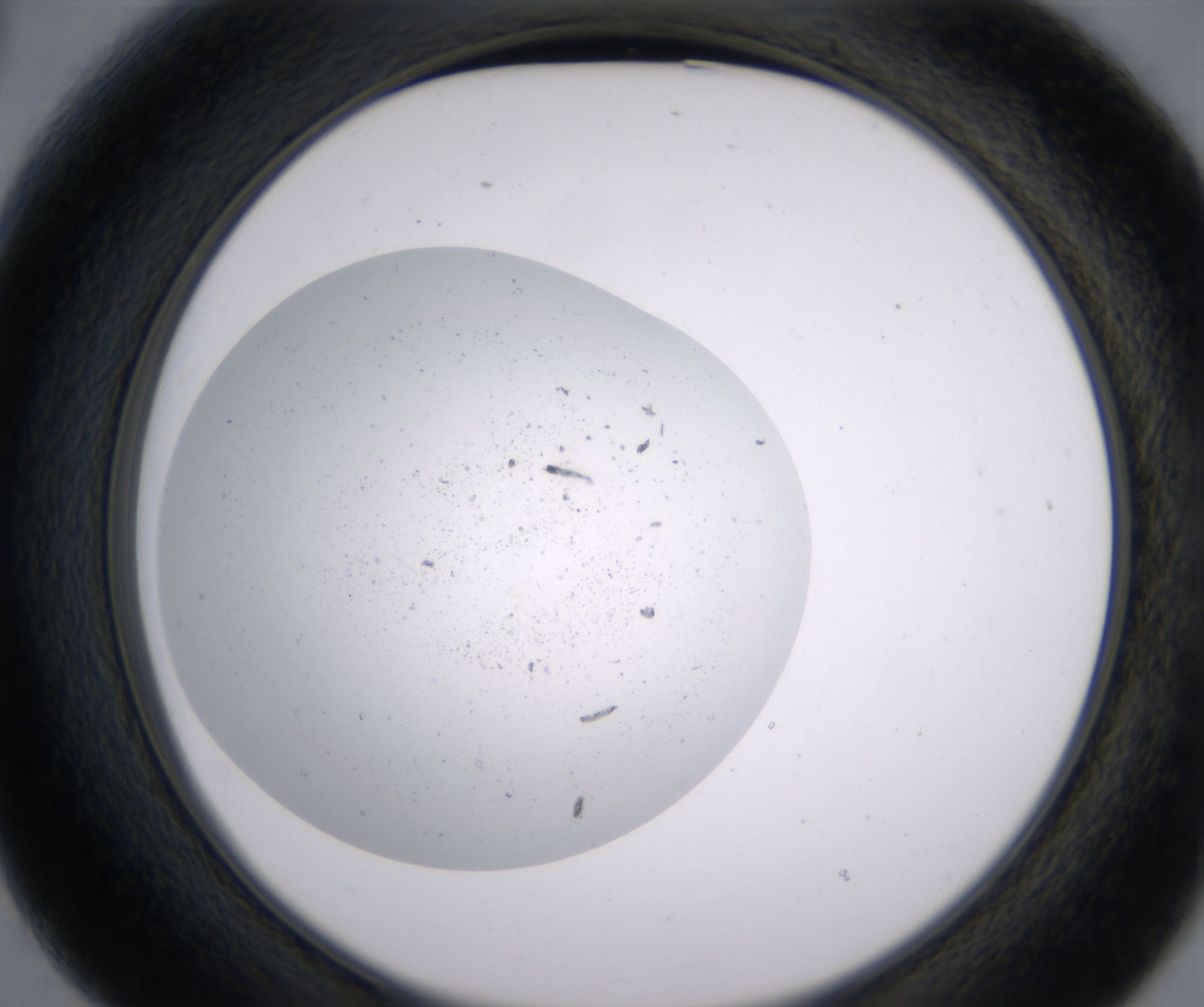 B3_HighResolution_Precipitate_2.jpg