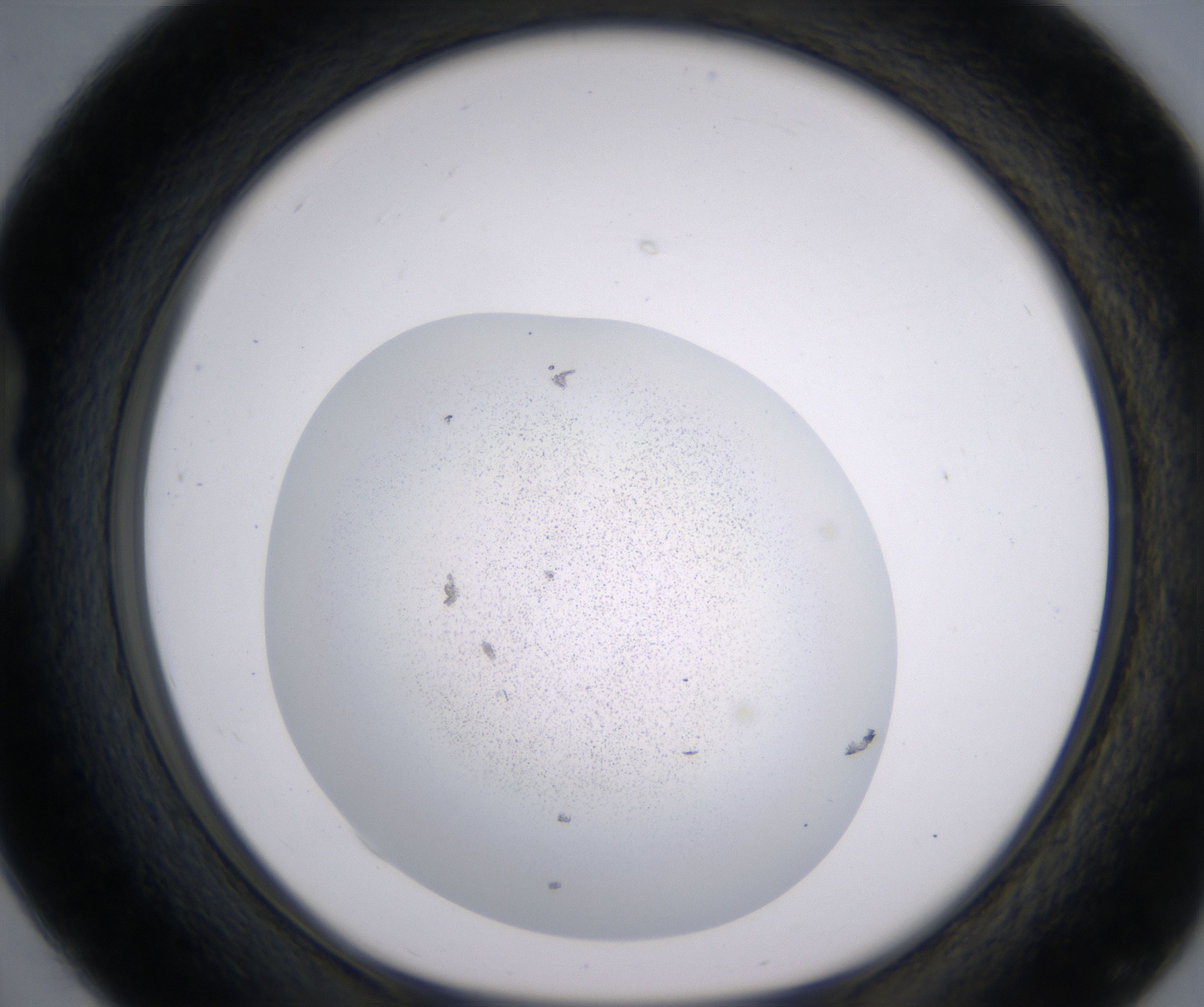 B4_HighResolution_Precipitate_1.jpg