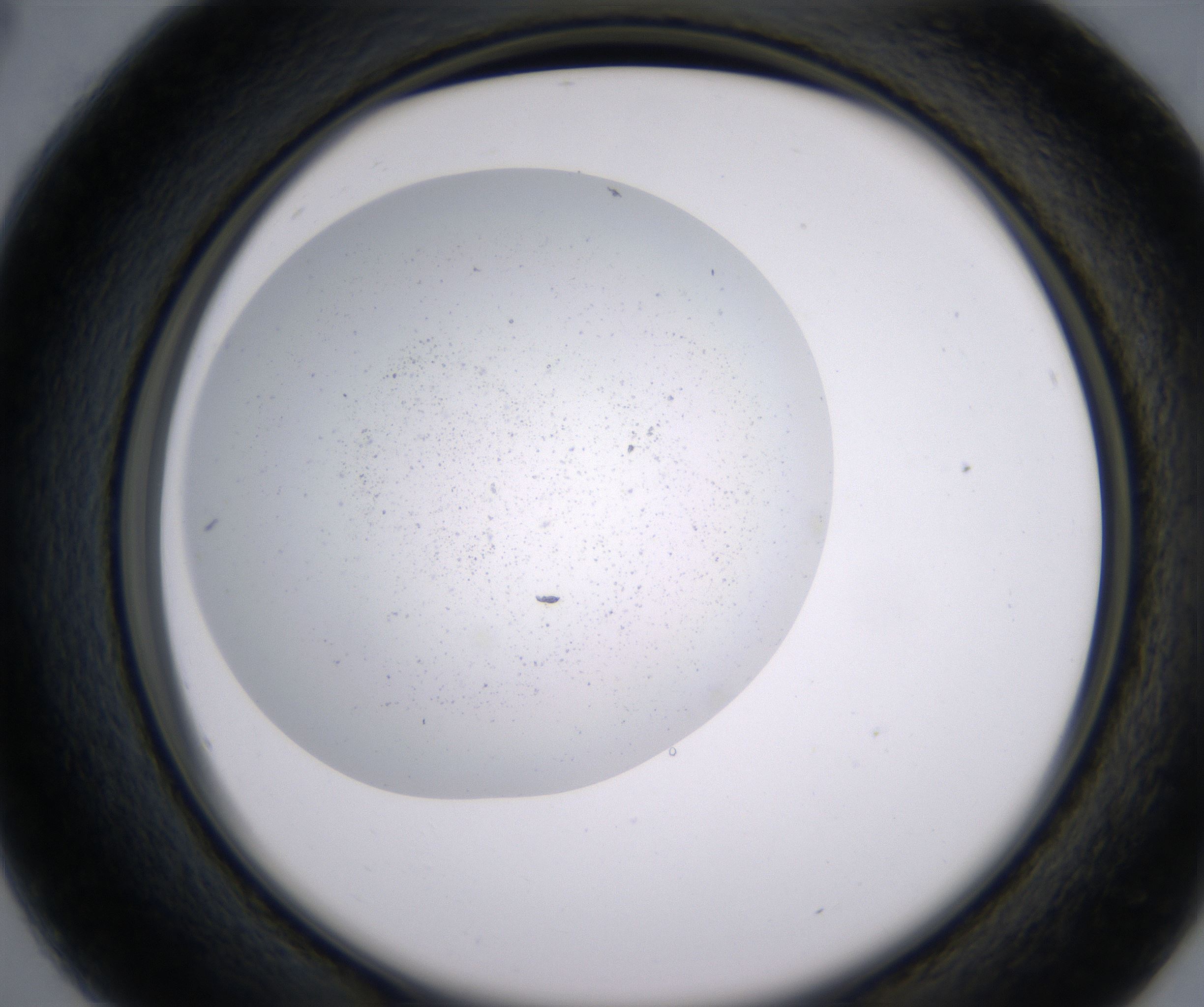 B4_HighResolution_Precipitate_2.jpg