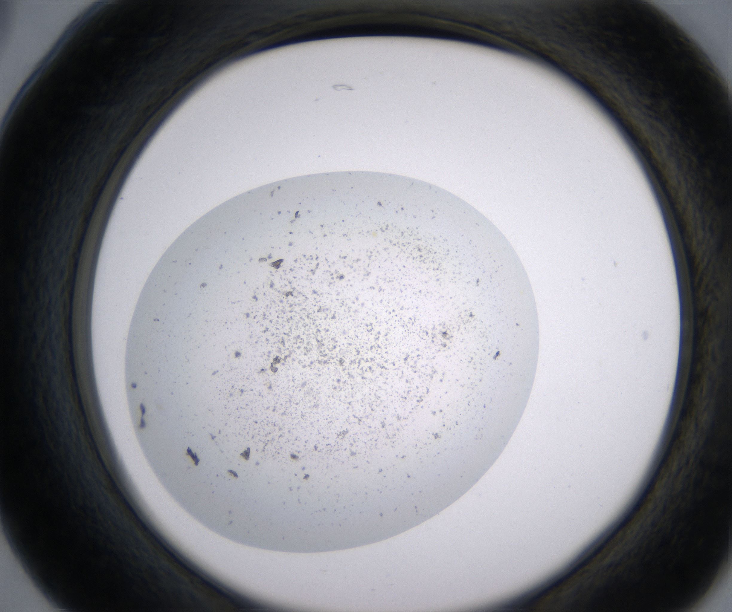 B5_HighResolution_Precipitate_2.jpg