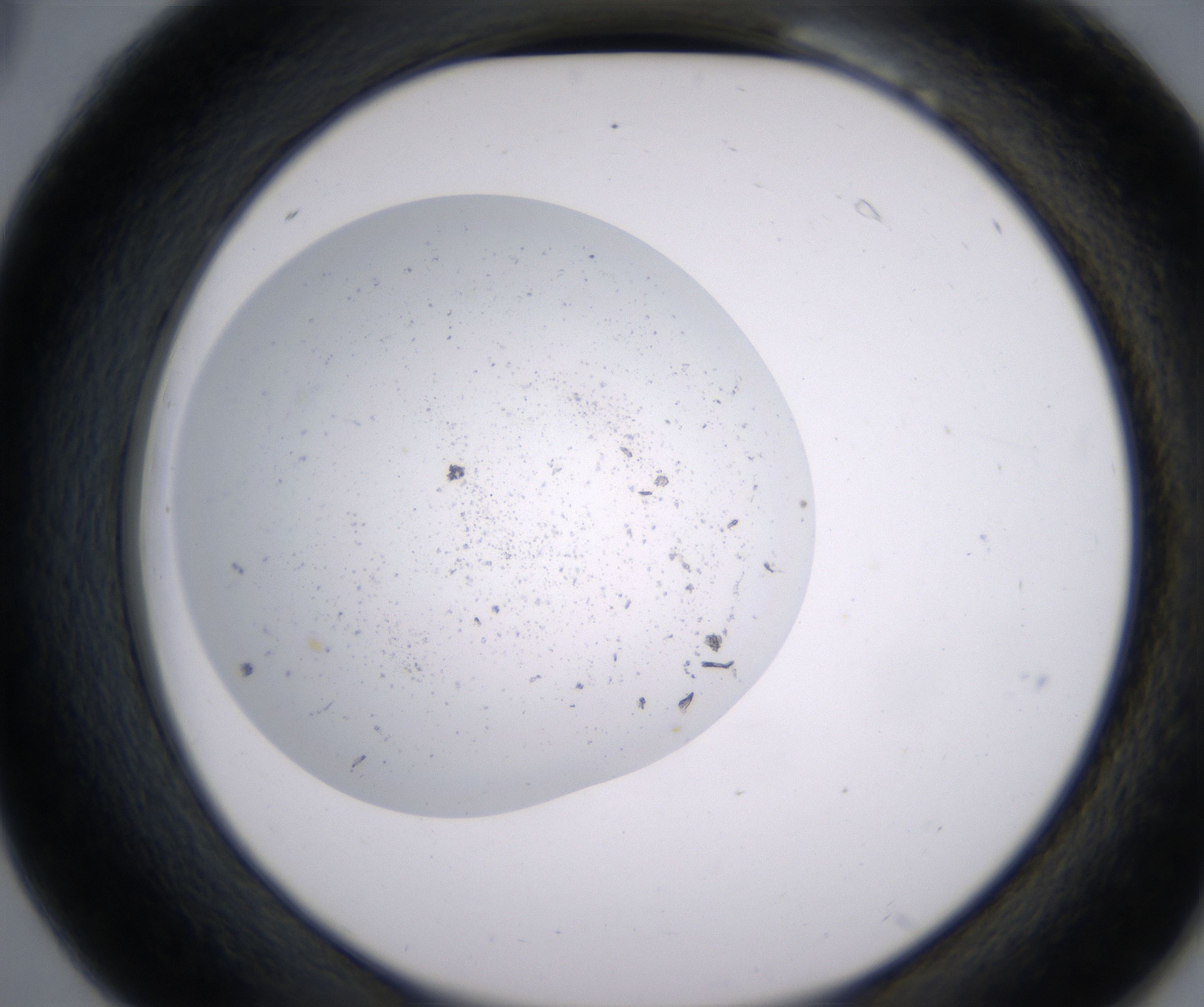 B6_HighResolution_Precipitate_2.jpg