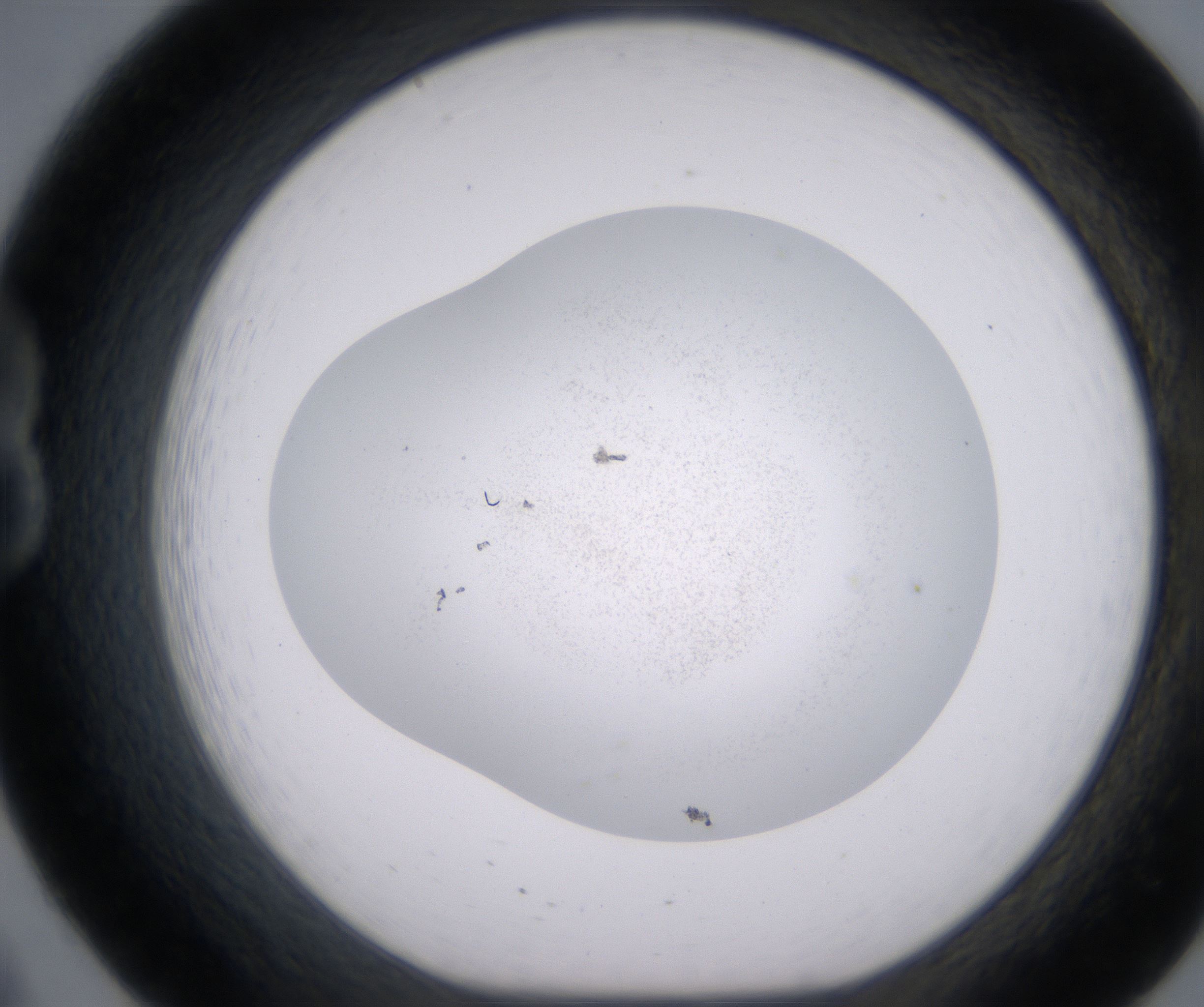 B8_HighResolution_Precipitate_1.jpg