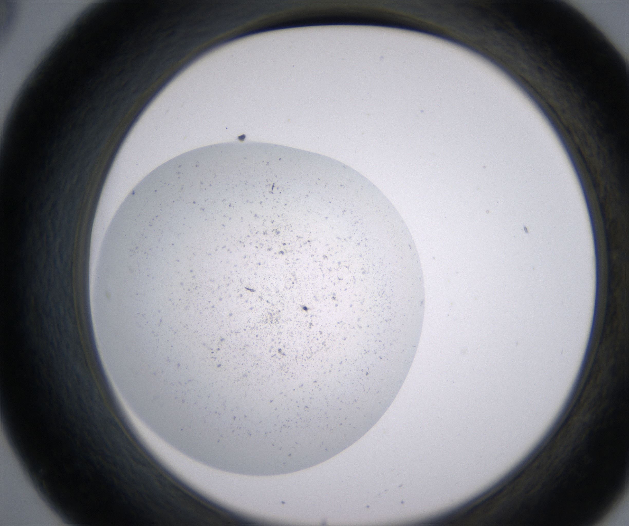 B8_HighResolution_Precipitate_2.jpg