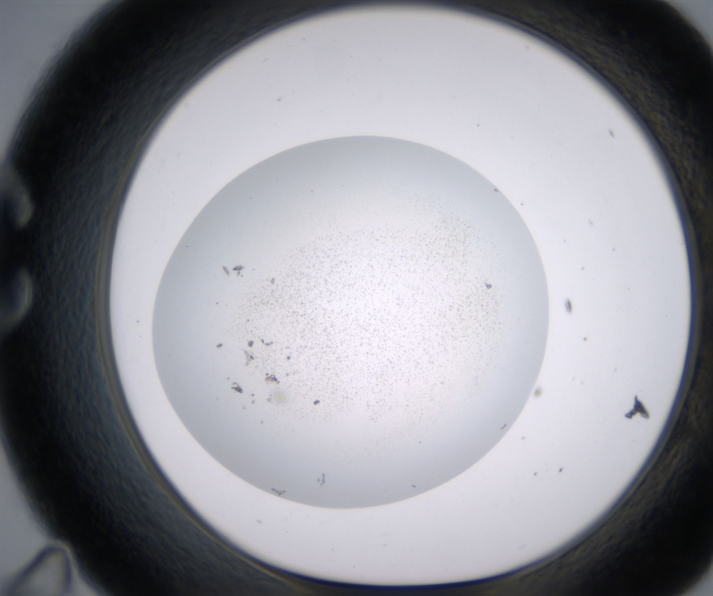 C11_HighResolution_Precipitate_1.jpg