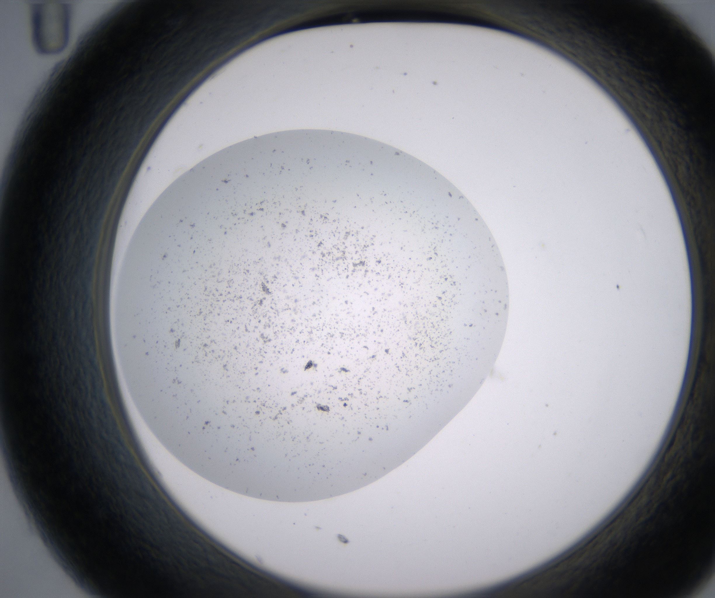 C11_HighResolution_Precipitate_2.jpg