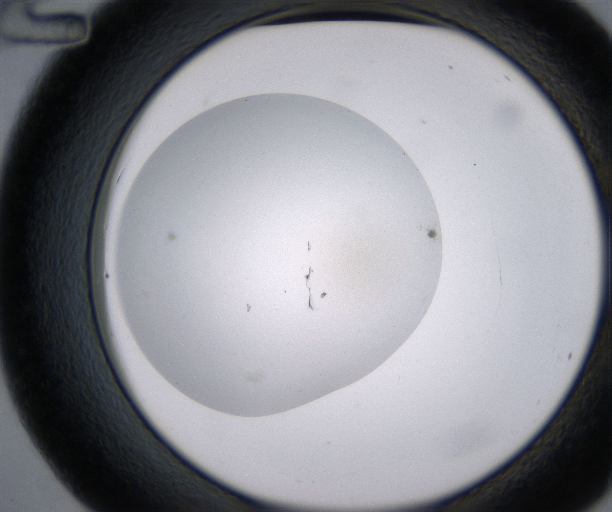 C12_HighResolution_Clear_2.jpg
